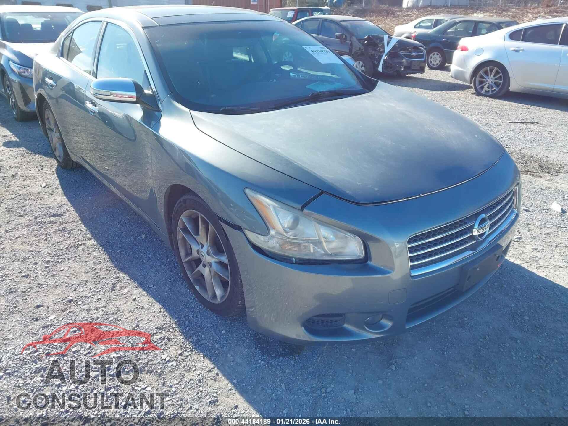 NISSAN MAXIMA 2010 - 1N4AA5AP2AC855217