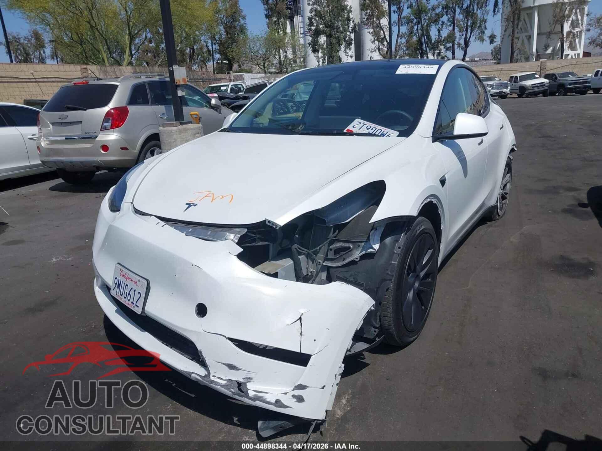 TESLA MODEL Y 2024 - 7SAYGDED8RF109082