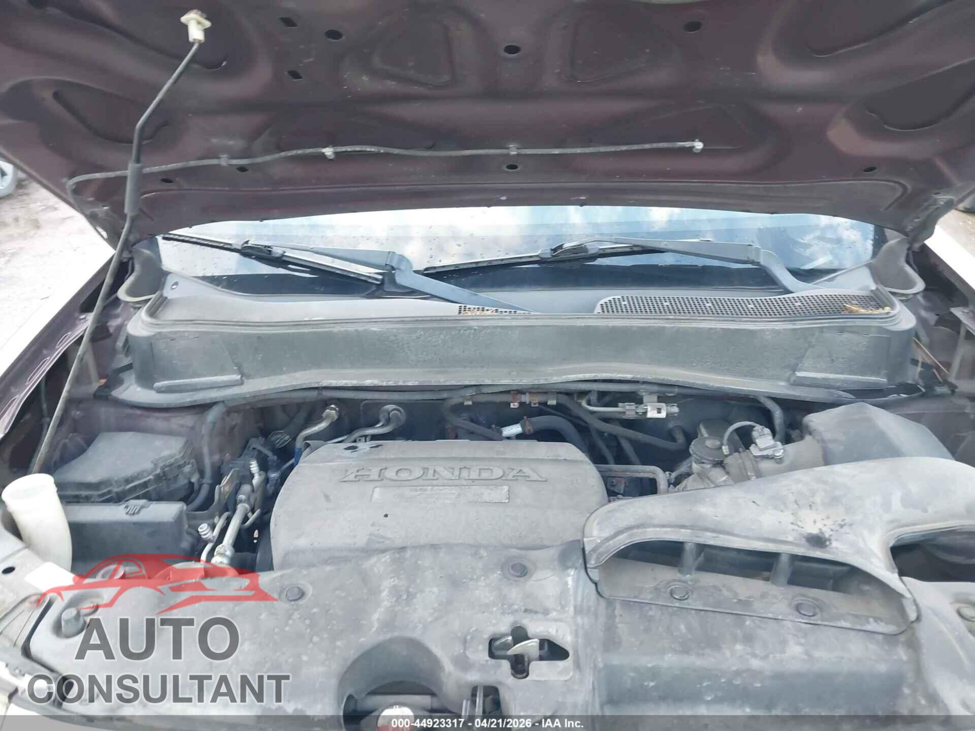 HONDA PILOT 2010 - 5FNYF4H89AB008801
