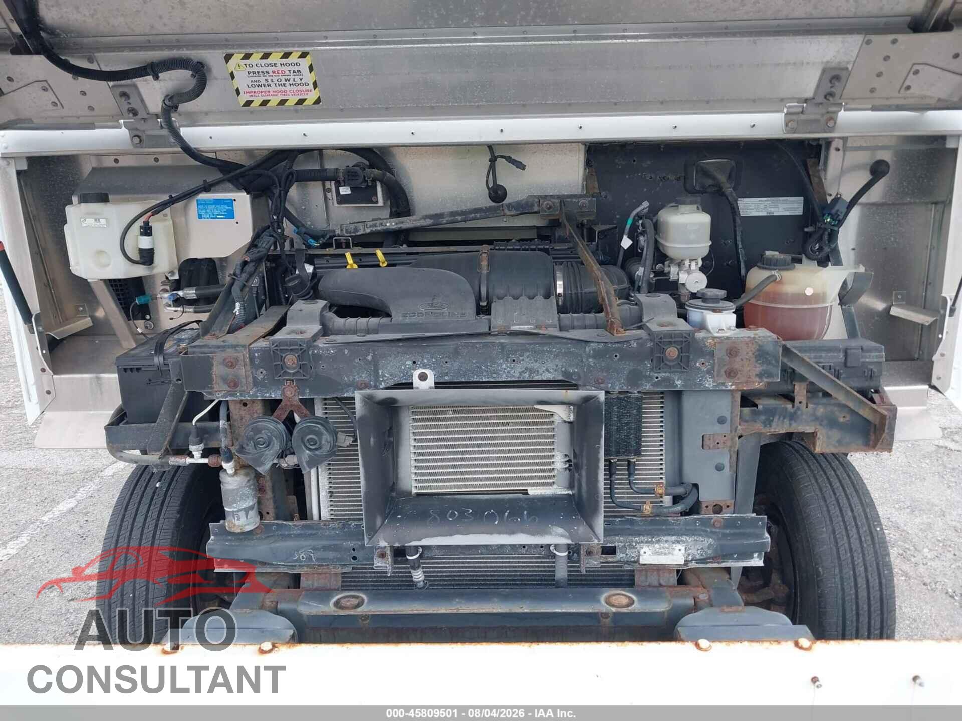 FORD E-350 STRIPPED 2019 - 1FC3E3K64KDC00389