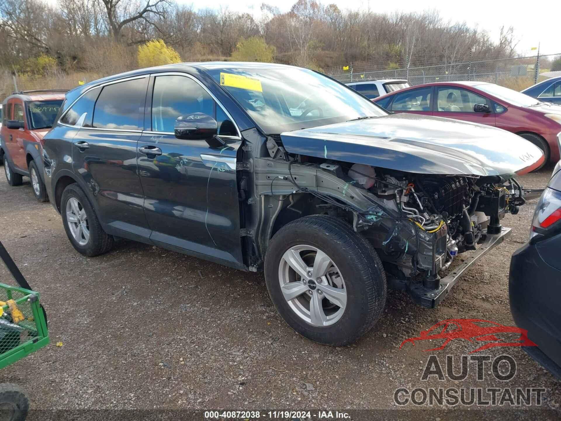 KIA SORENTO 2024 - 5XYRG4JC8RG254257