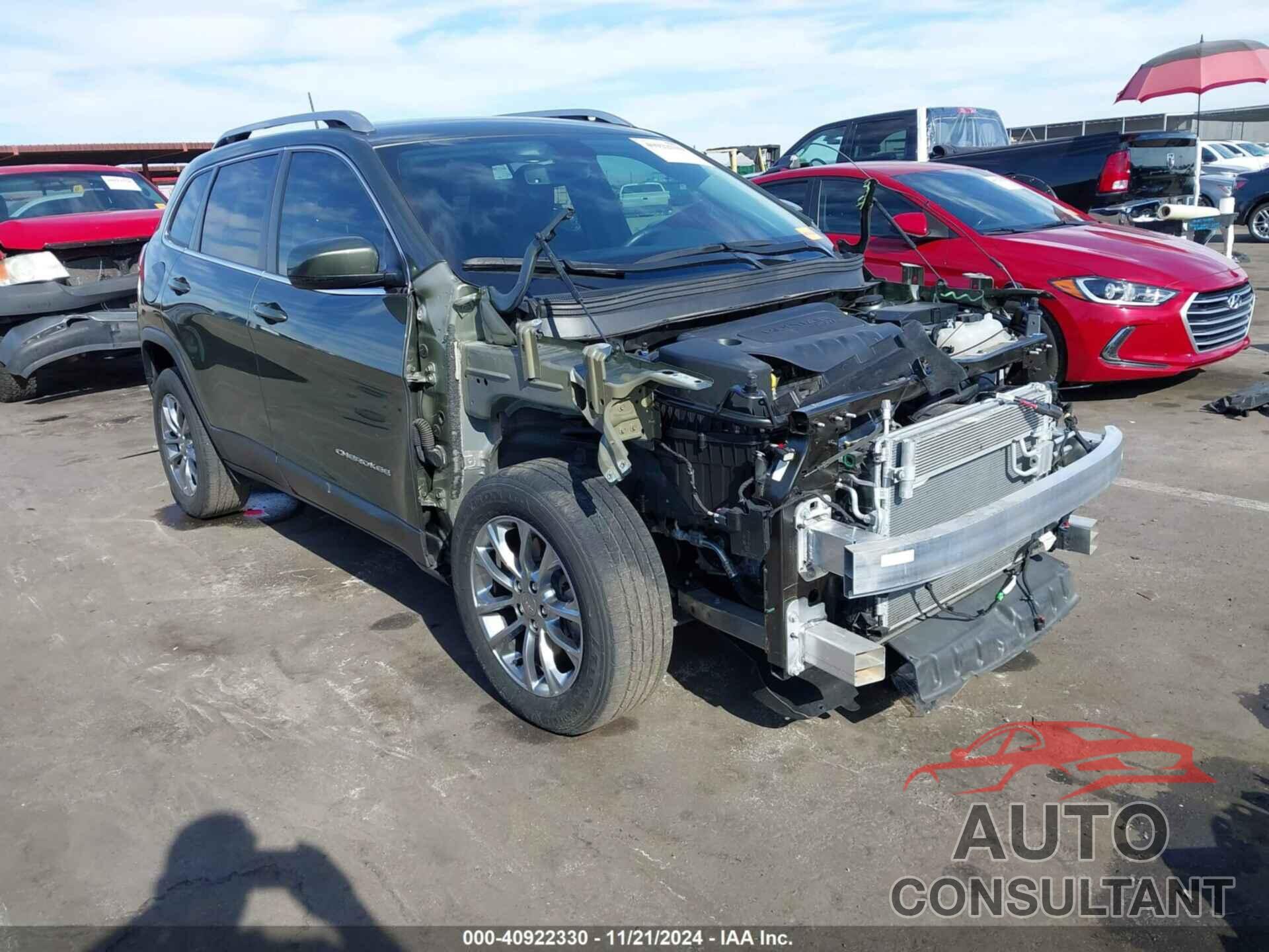 JEEP CHEROKEE 2019 - 1C4PJLLB9KD226205