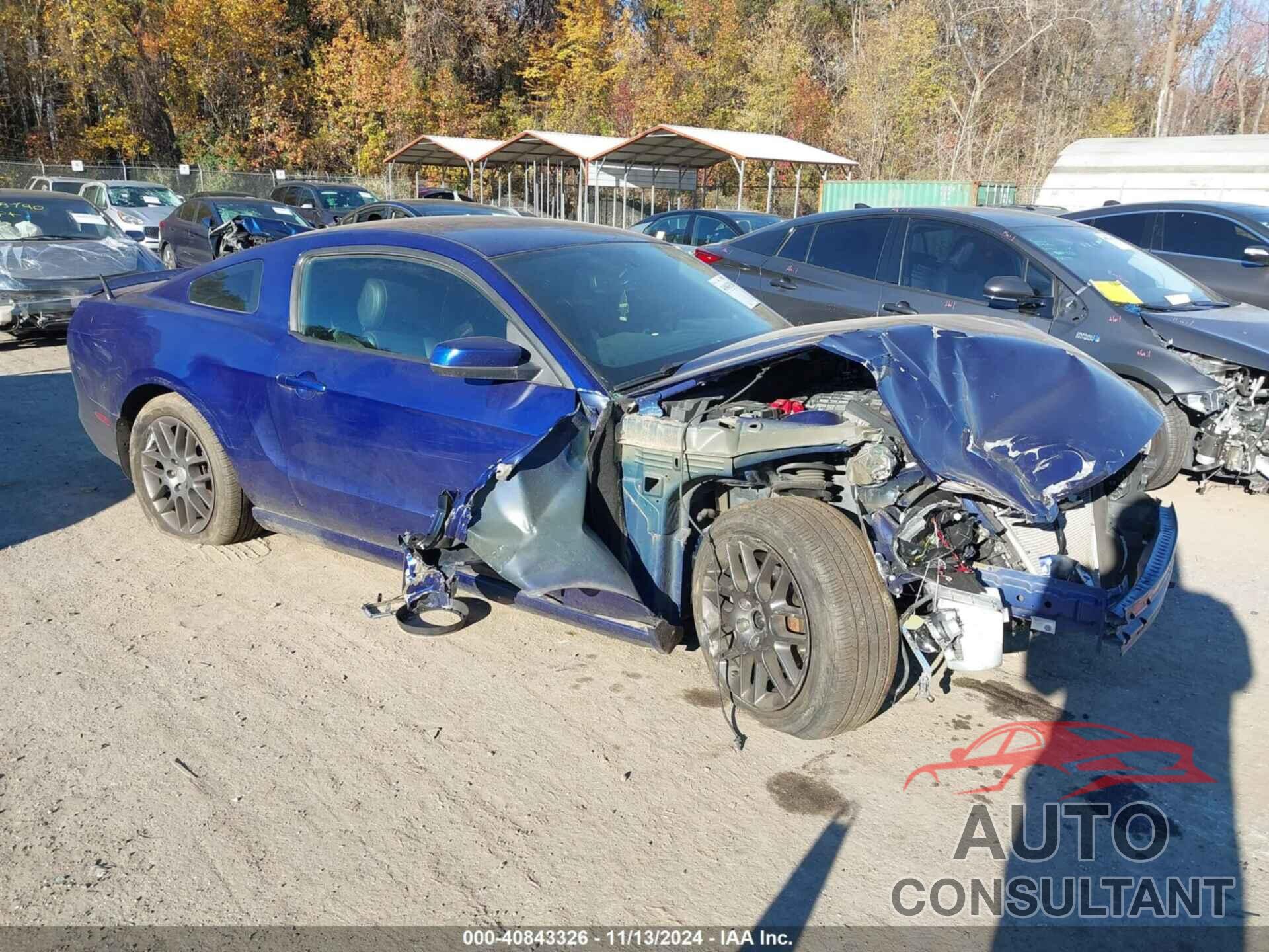 FORD MUSTANG 2013 - 1ZVBP8AM6D5273843
