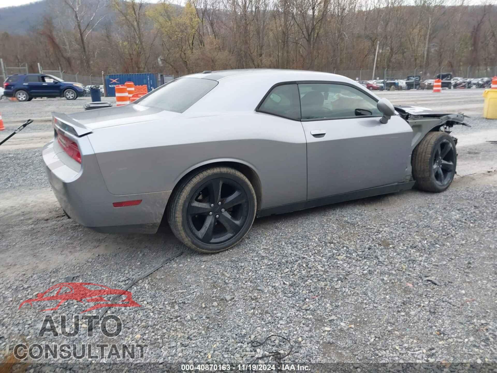 DODGE CHALLENGER 2013 - 2C3CDYBT7DH676734