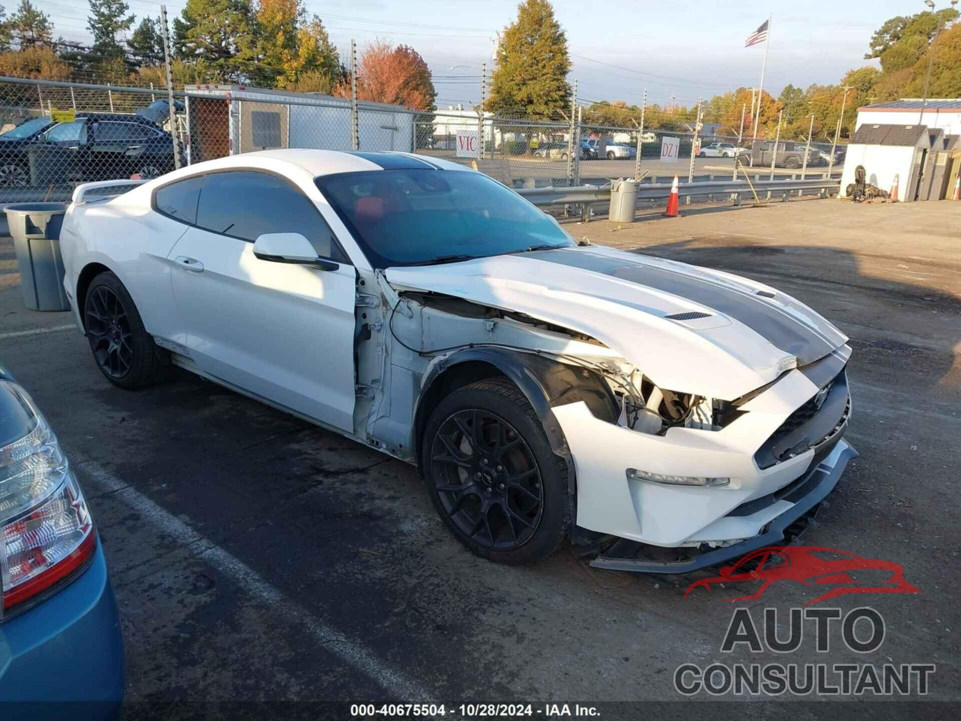 FORD MUSTANG 2019 - 1FA6P8TH4K5195506