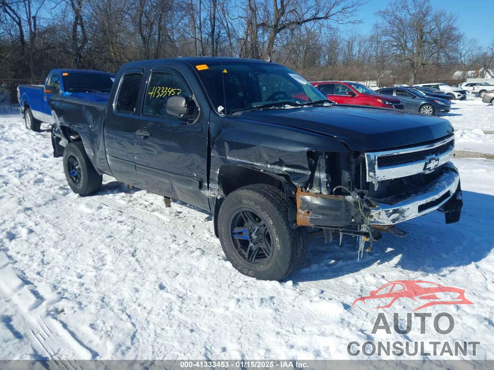 CHEVROLET SILVERADO 1500 2009 - 1GCEK19C59Z265296