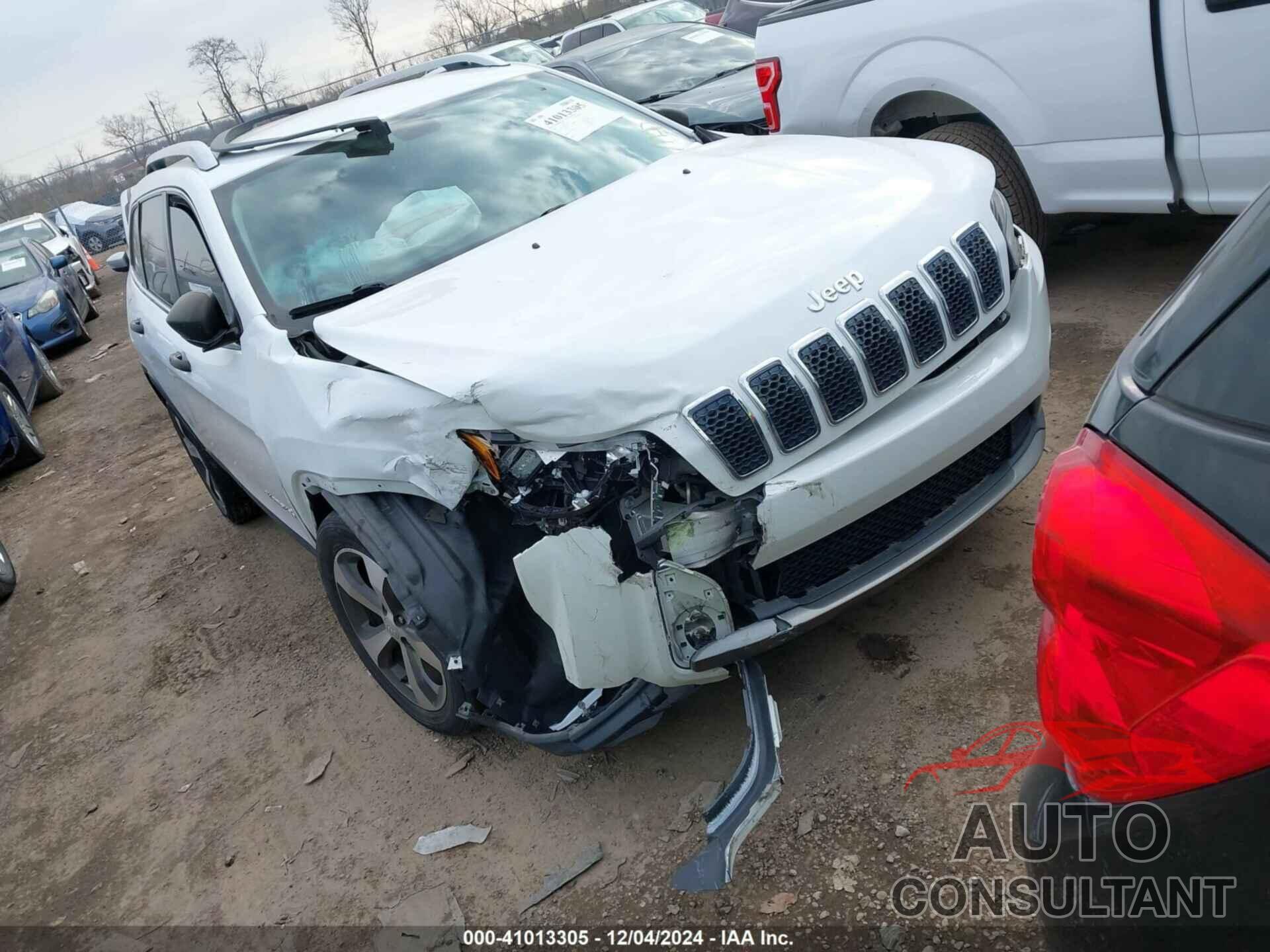 JEEP CHEROKEE 2019 - 1C4PJLDB2KD376395