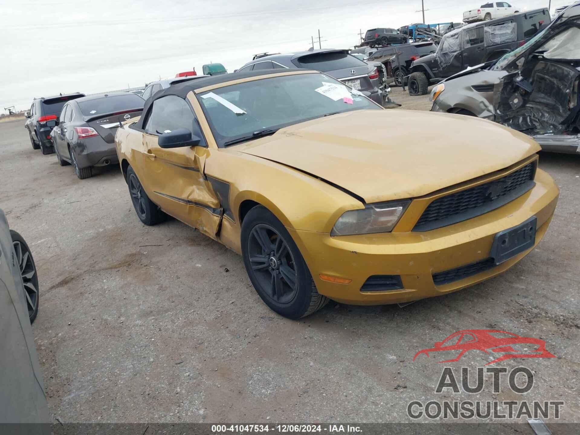 FORD MUSTANG 2010 - 1ZVBP8EN6A5167469