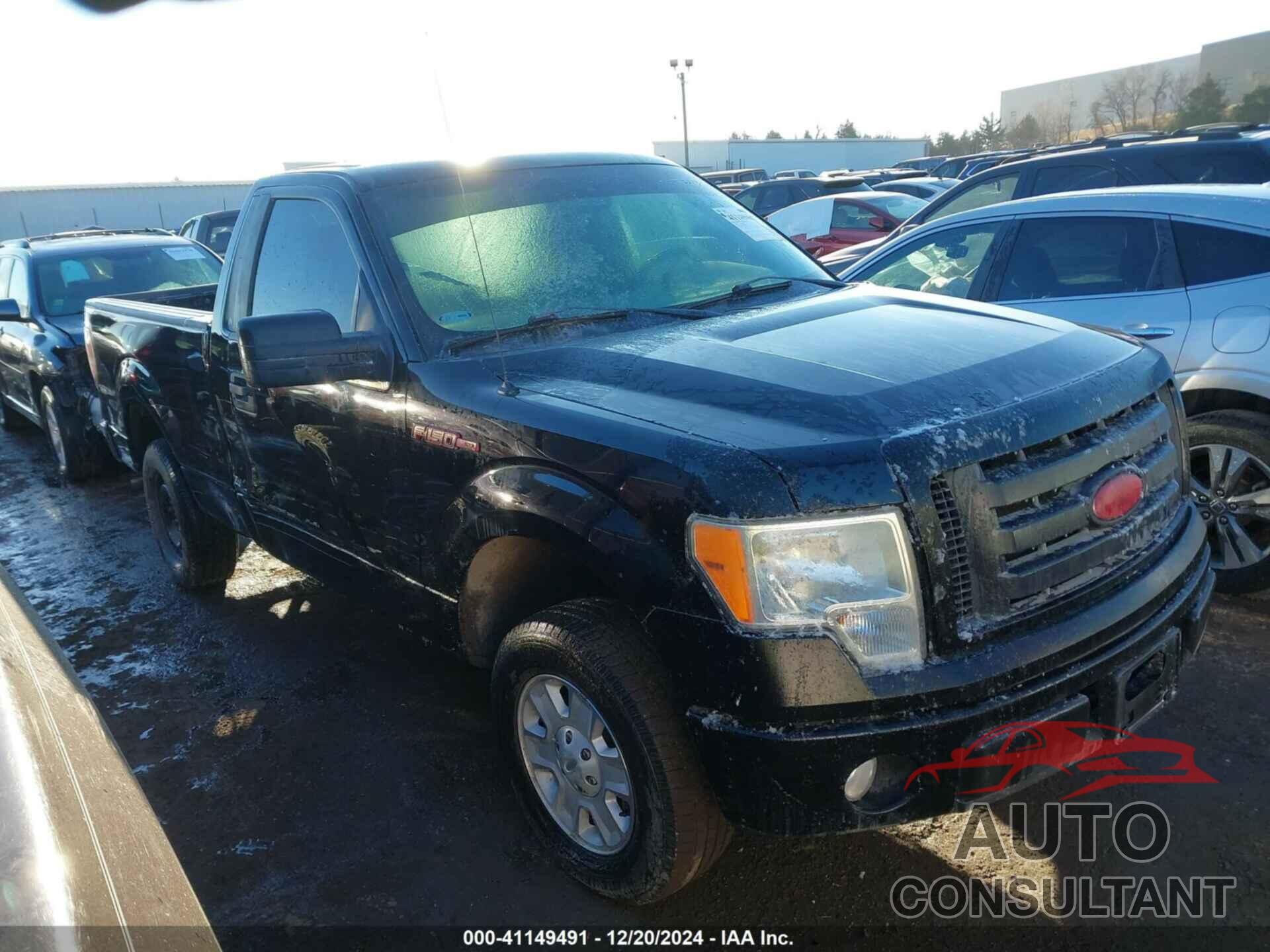 FORD F-150 2009 - 1FTRF12WX9KB06552