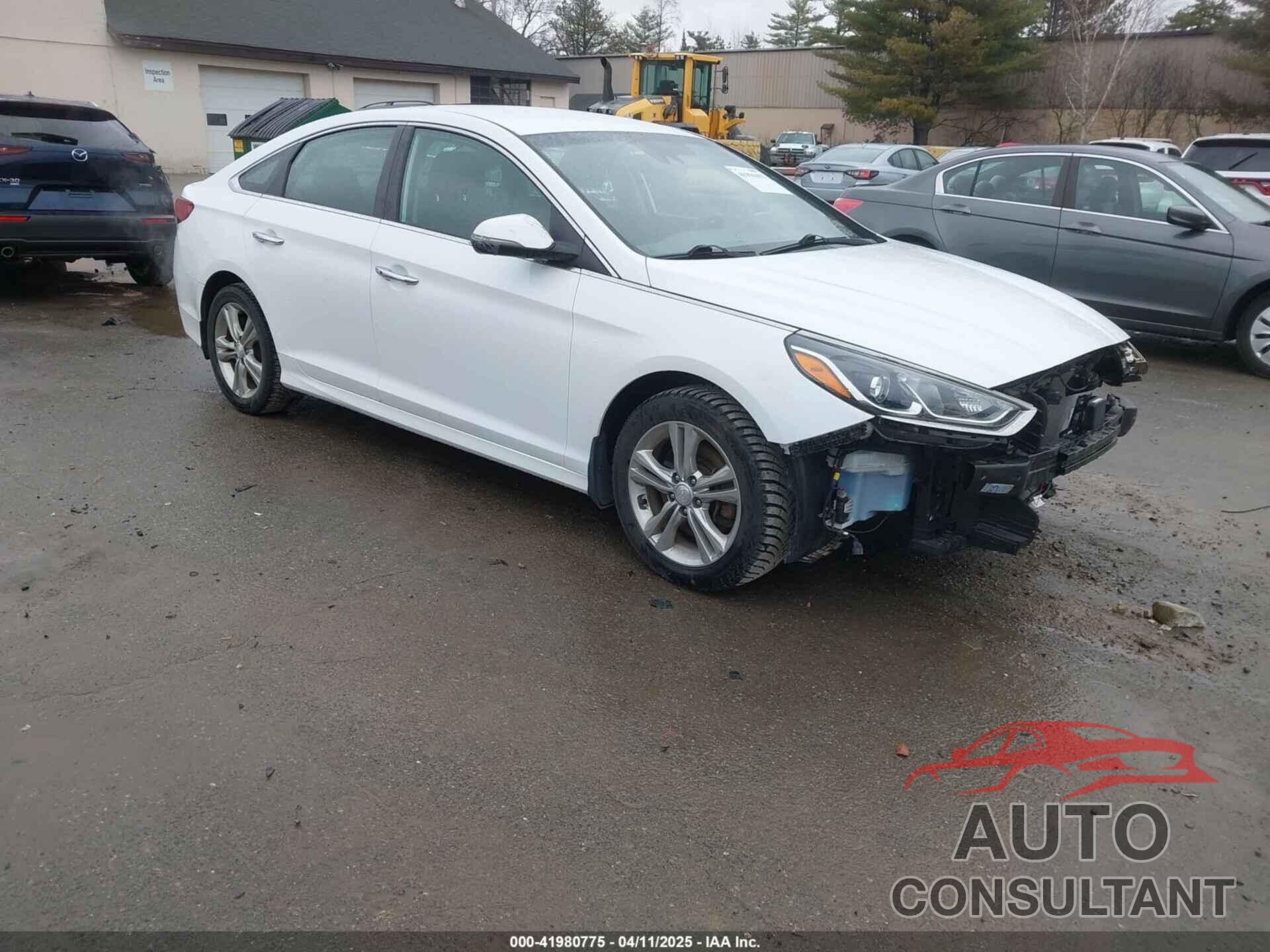 HYUNDAI SONATA 2019 - 5NPE34AF4KH733889