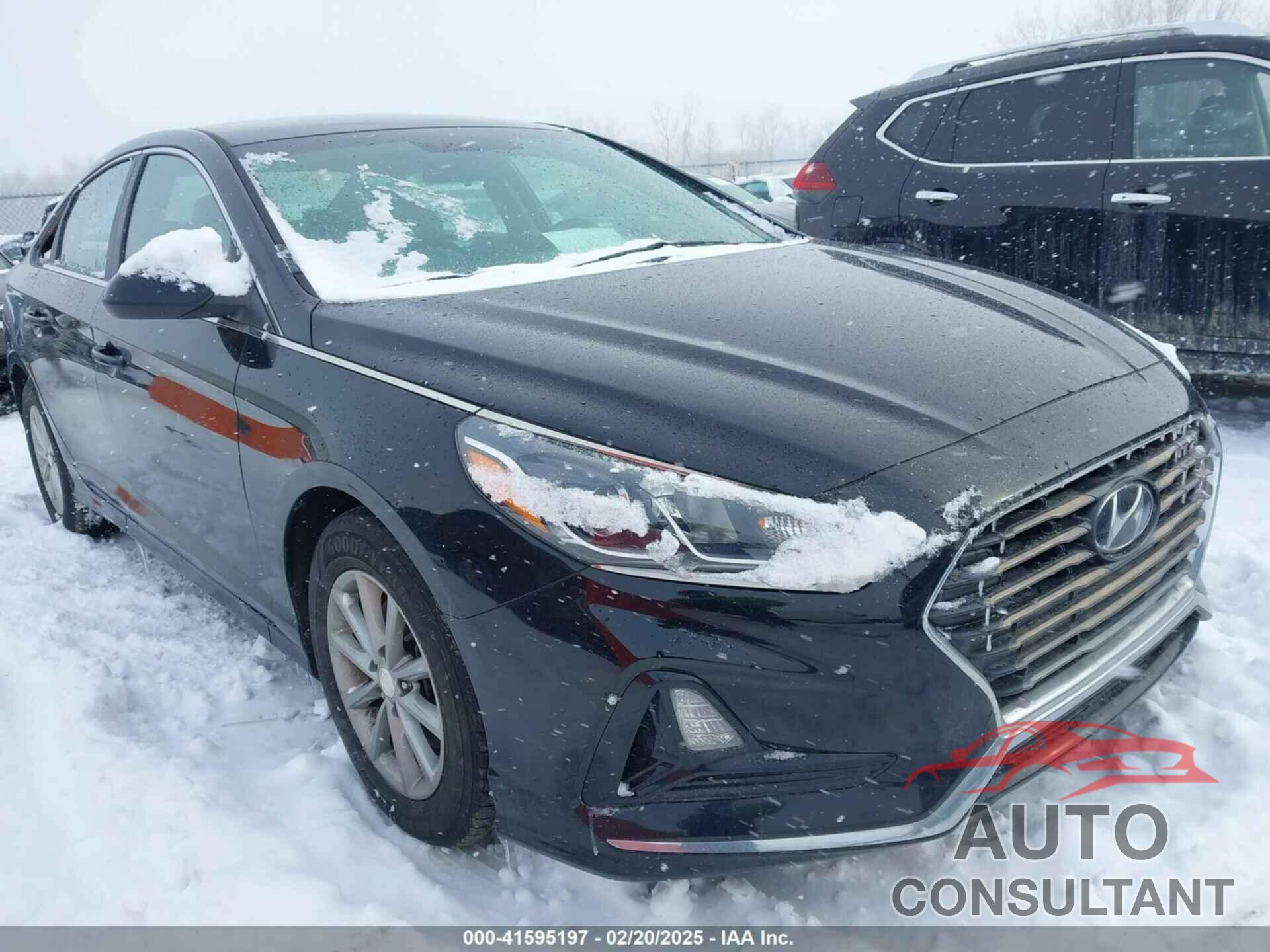 HYUNDAI SONATA 2019 - 5NPE24AF5KH765804