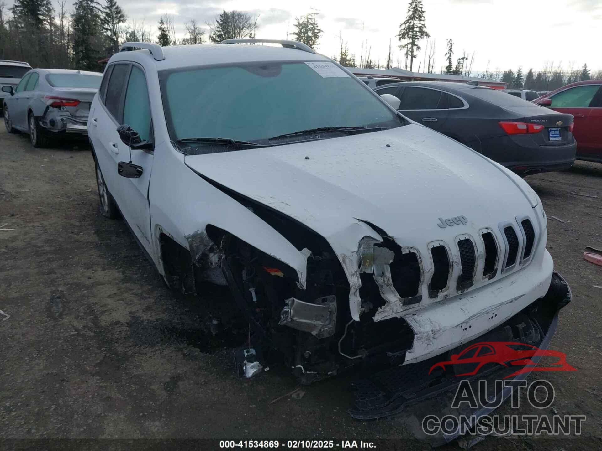 JEEP CHEROKEE 2014 - 1C4PJLCB3EW305488