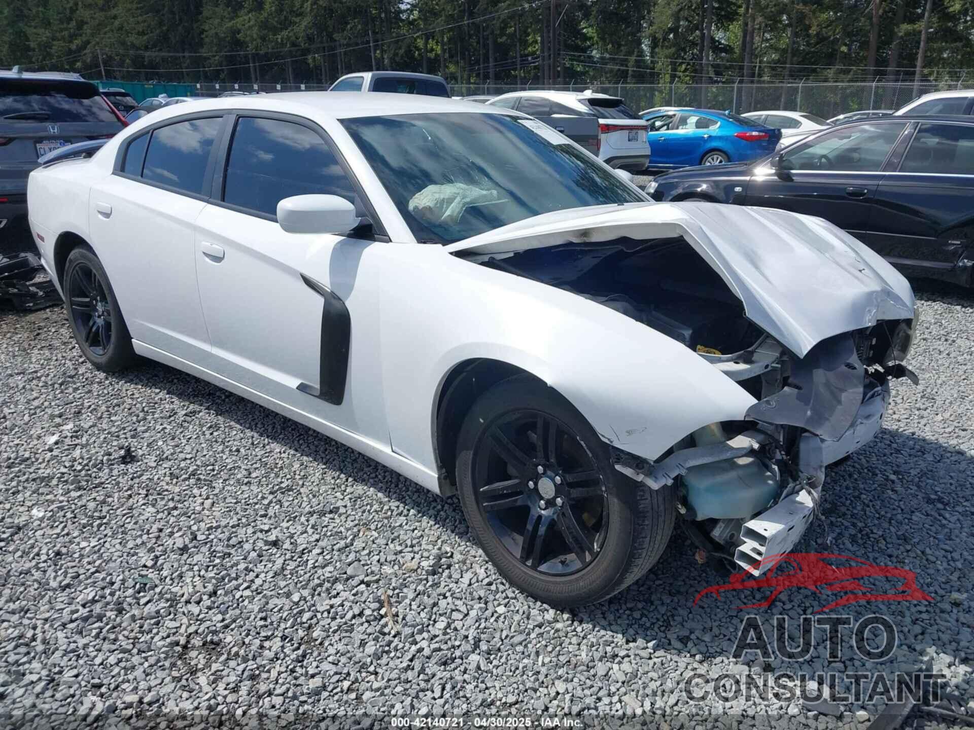 DODGE CHARGER 2014 - 2C3CDXHG3EH329231