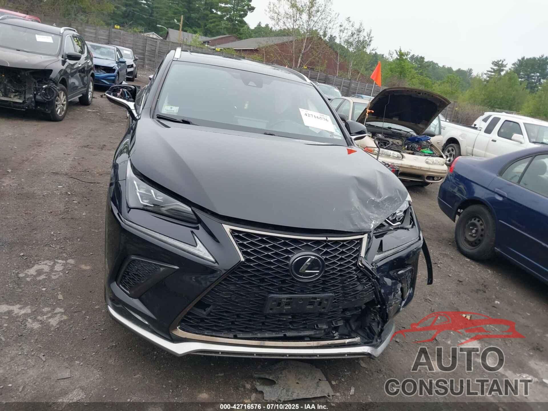 LEXUS NX 300 2020 - JTJSARDZ9L5008931