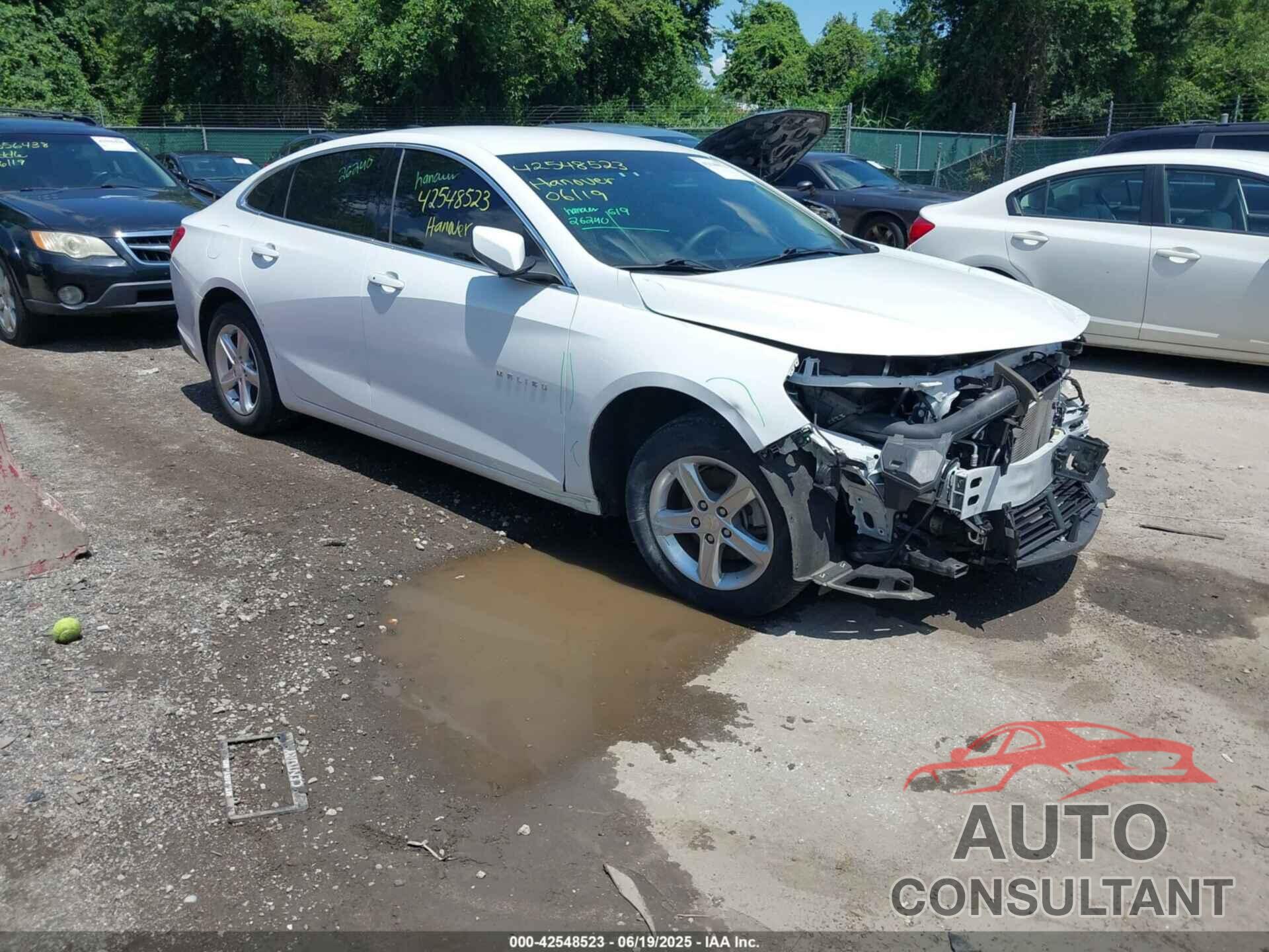 CHEVROLET MALIBU 2022 - 1G1ZC5STXNF171936