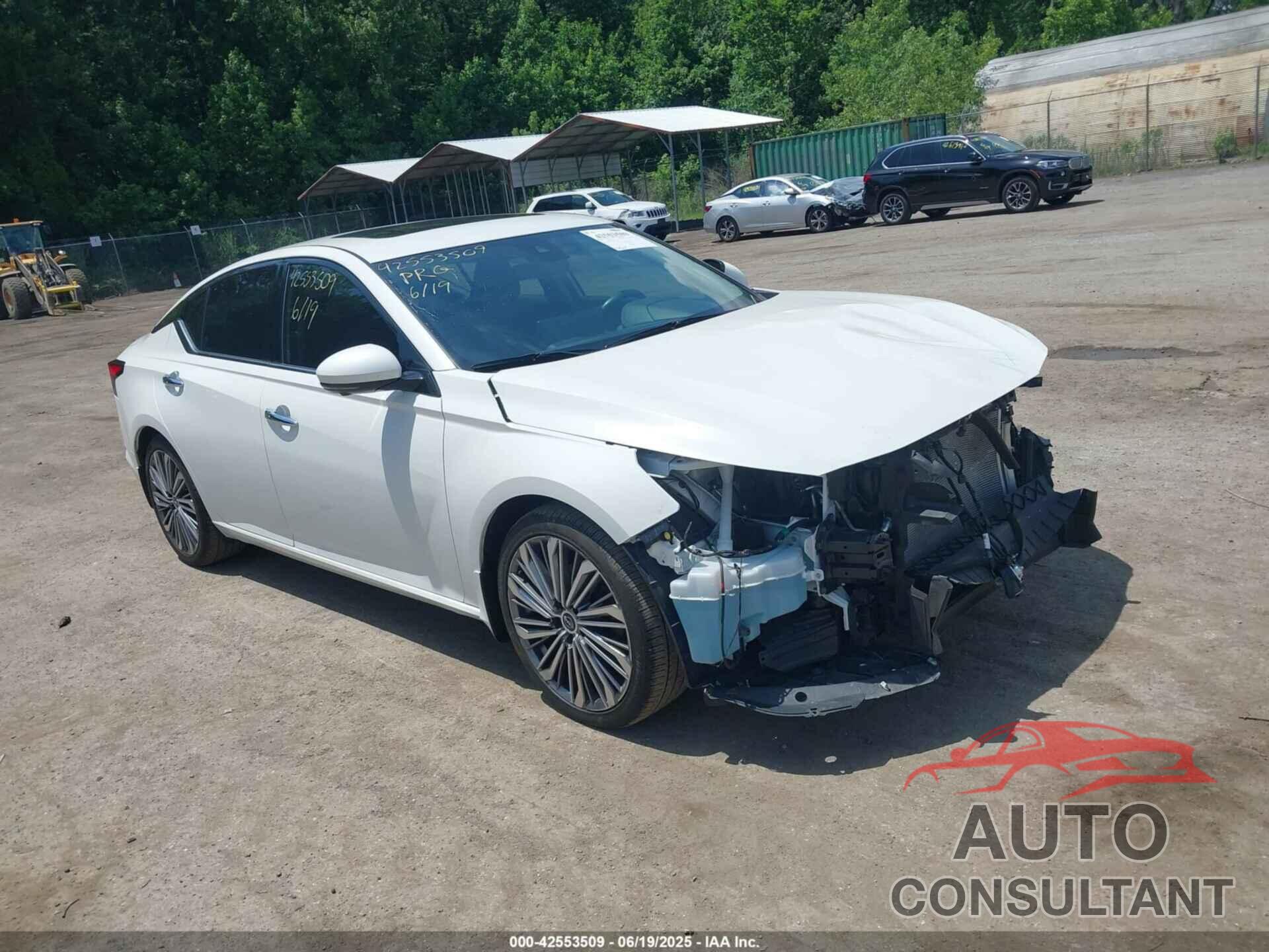 NISSAN ALTIMA 2023 - 1N4BL4EV7PN406789