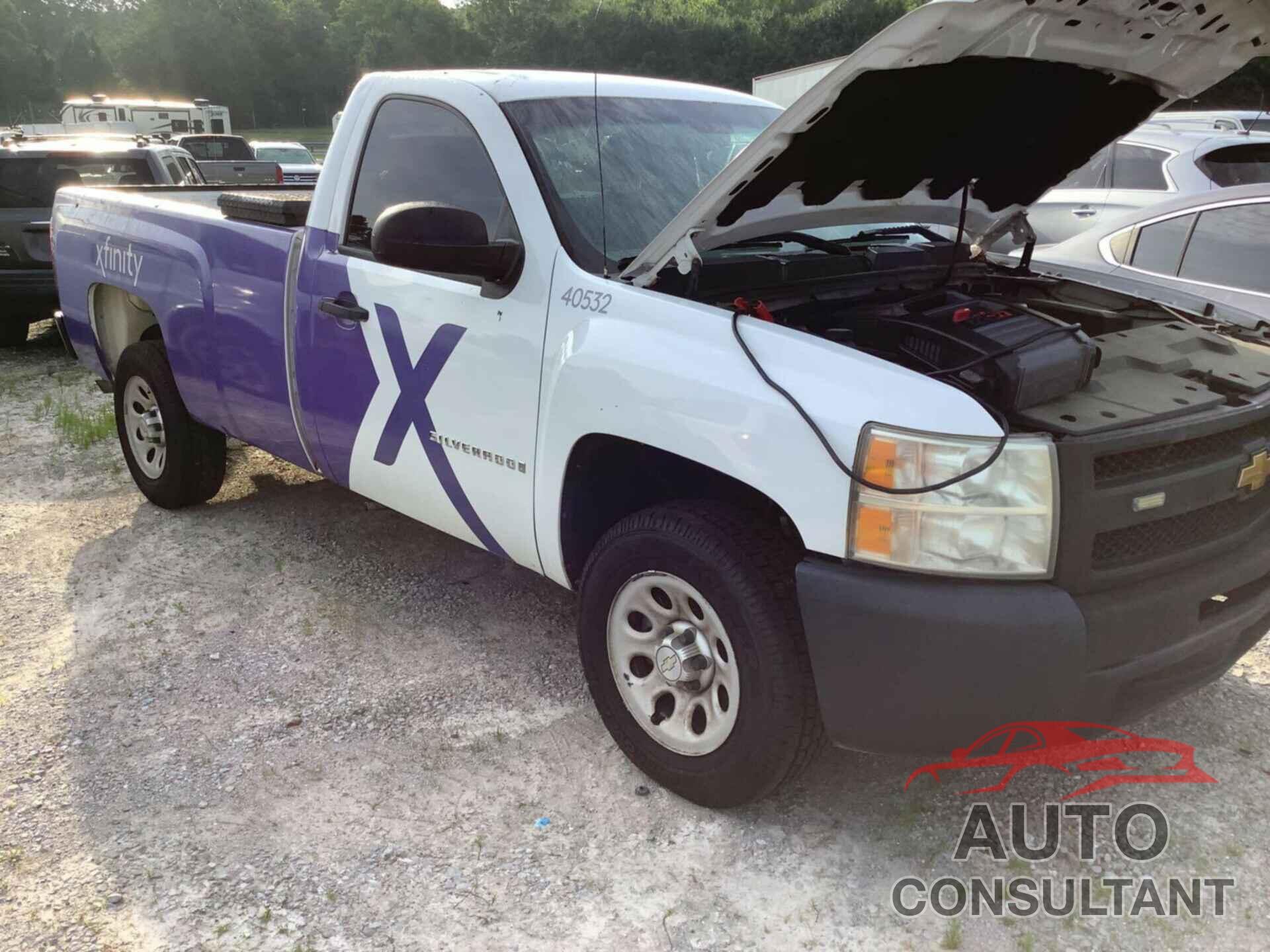 CHEVROLET SILVERADO 1500 2009 - 1GCEC14019Z258971