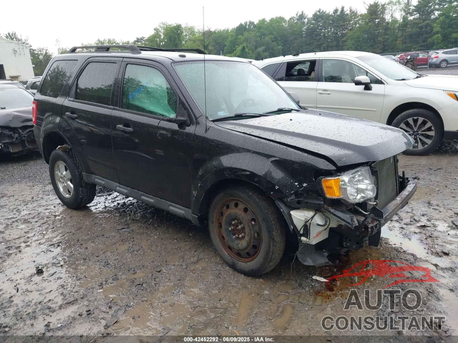FORD ESCAPE 2010 - 1FMCU9DG7AKD41569