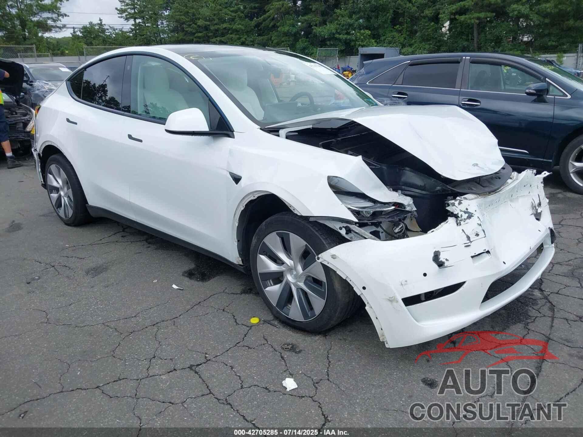 TESLA MODEL Y 2021 - 5YJYGDEE6MF257813