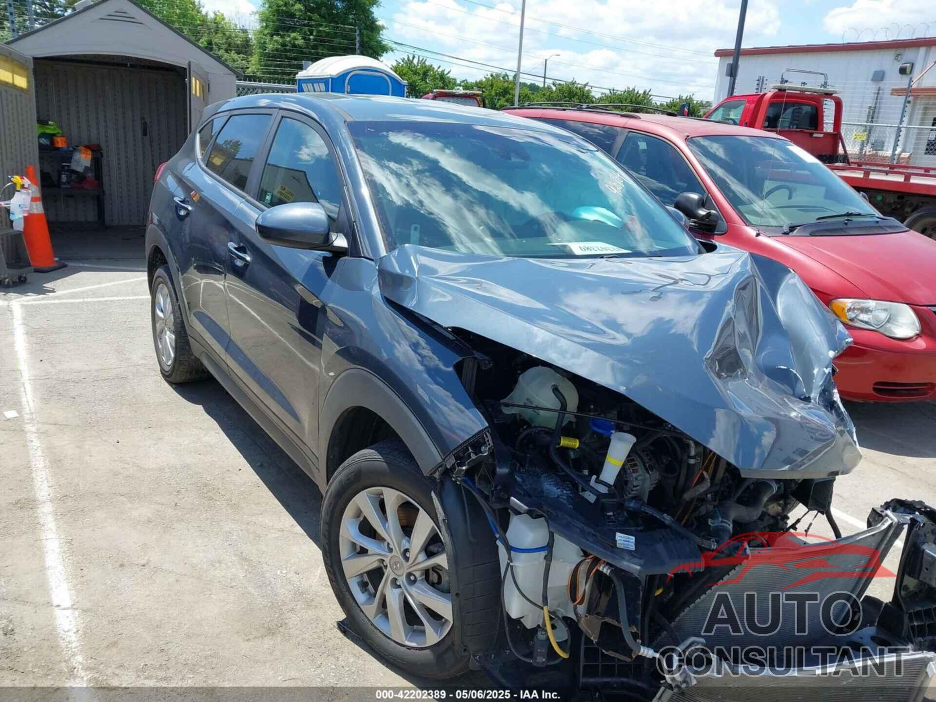 HYUNDAI TUCSON 2019 - KM8J23A42KU920804