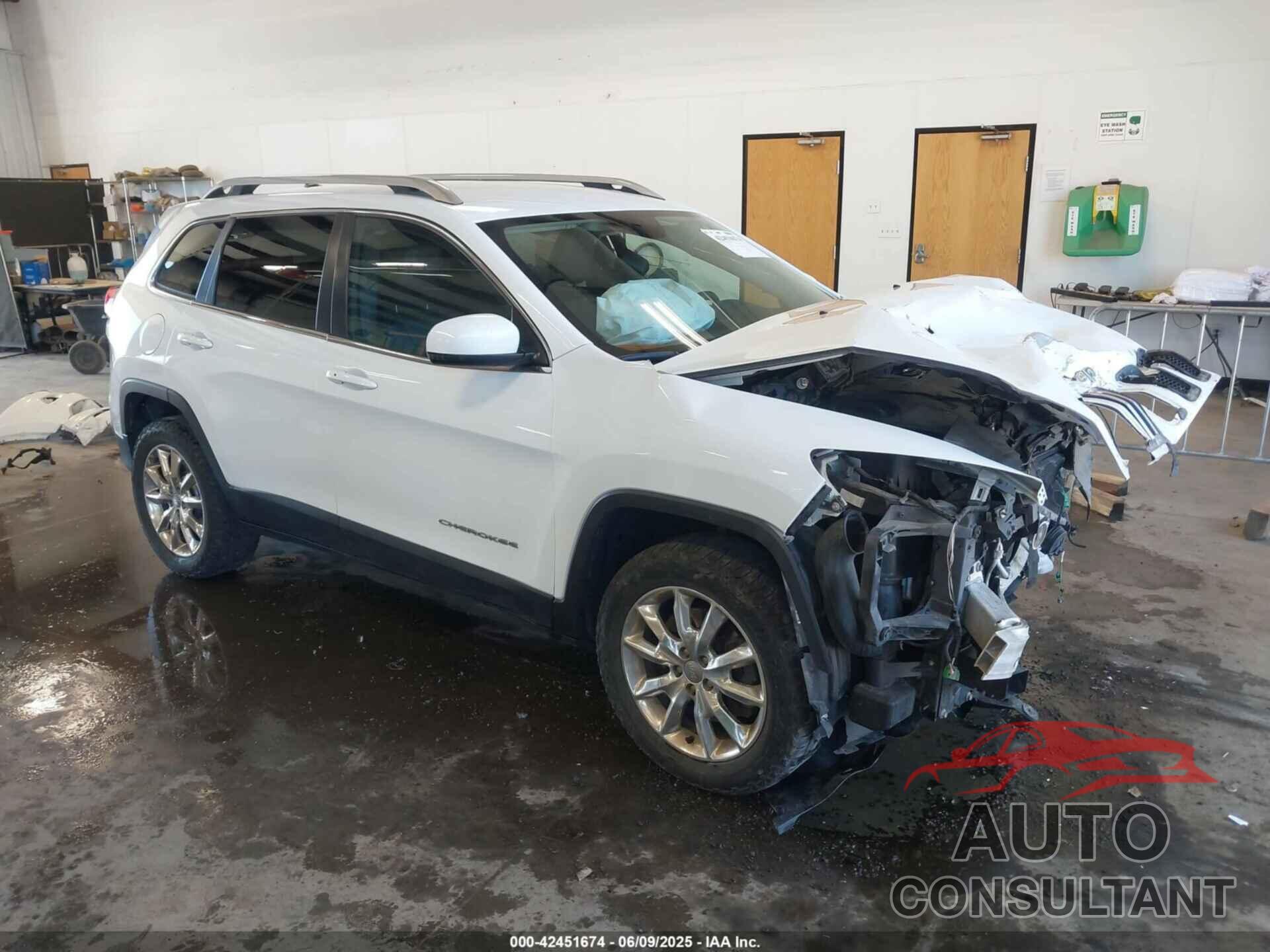 JEEP CHEROKEE 2014 - 1C4PJMDS5EW211391