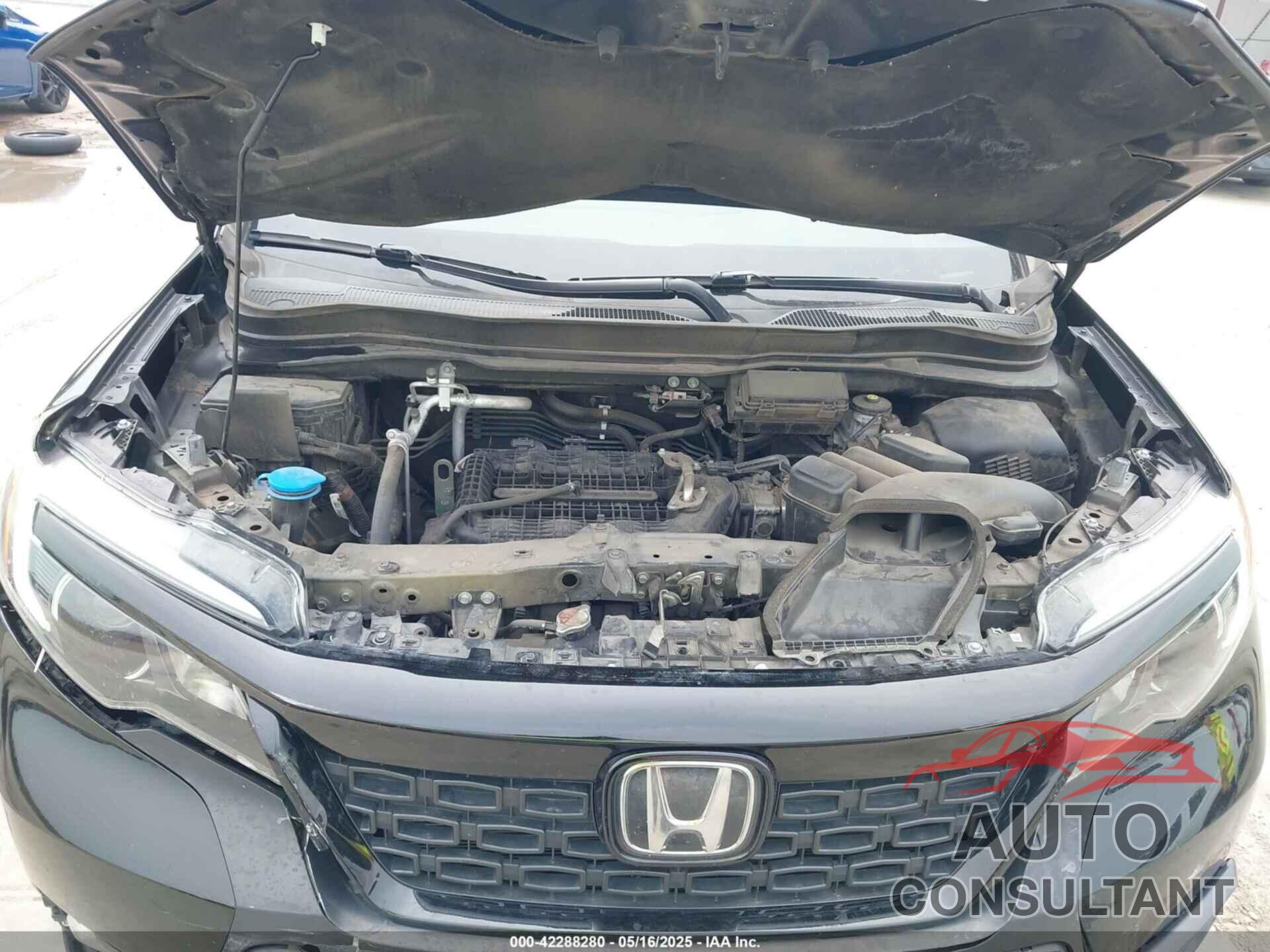 HONDA PASSPORT 2019 - 5FNYF7H25KB008597