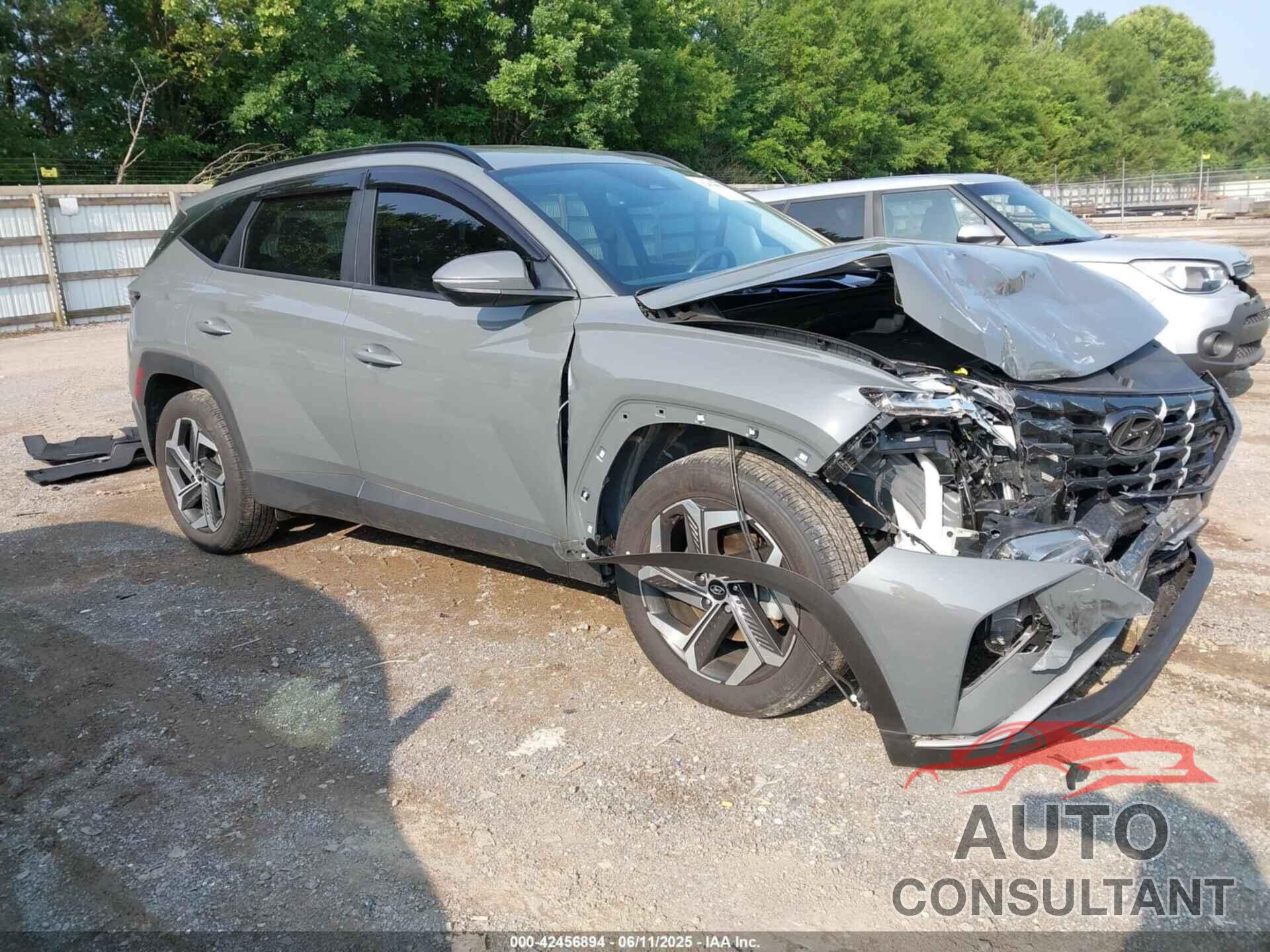 HYUNDAI TUCSON 2024 - 5NMJF3DEXRH317713