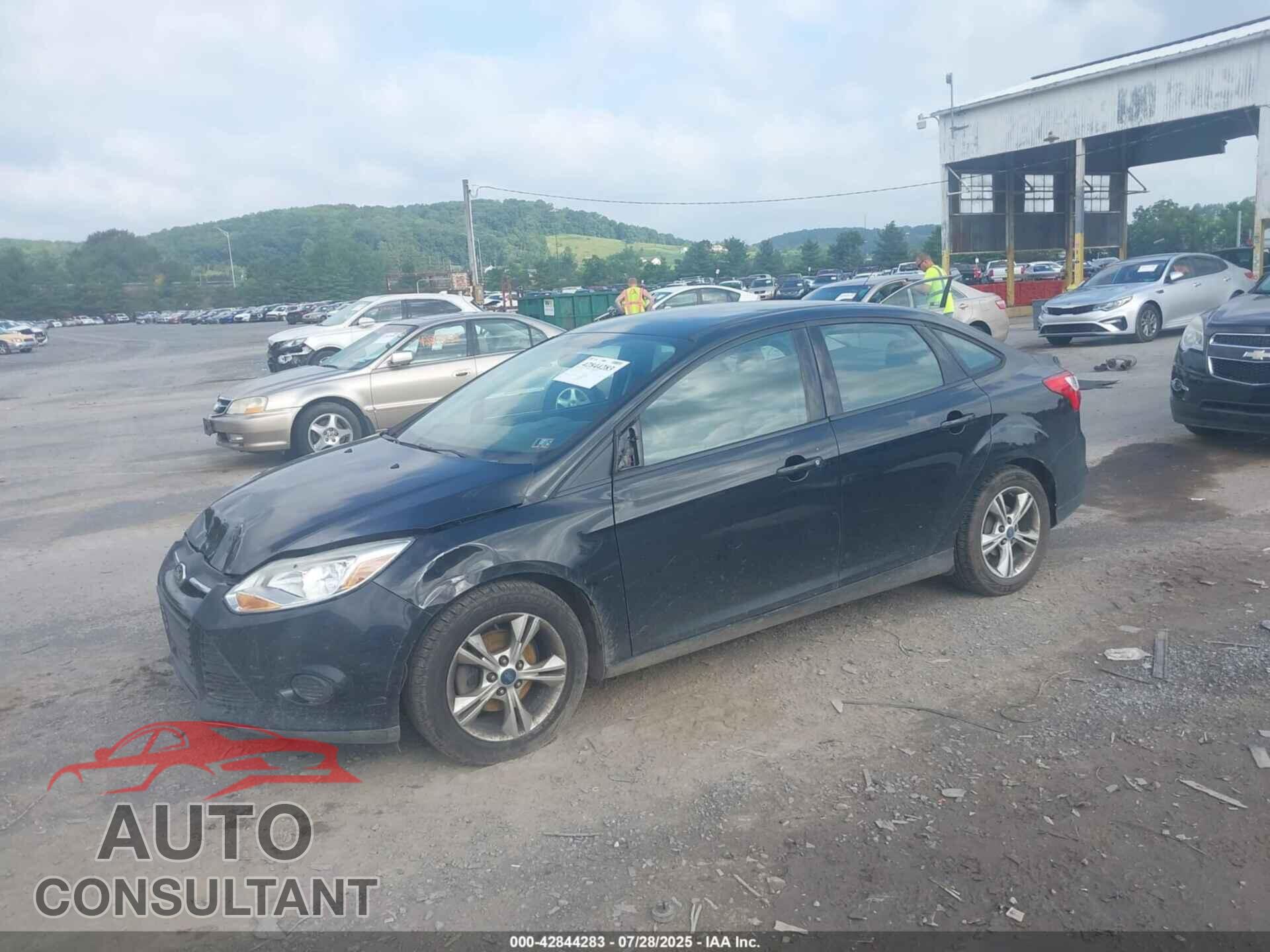 FORD FOCUS 2014 - 1FADP3F20EL418397