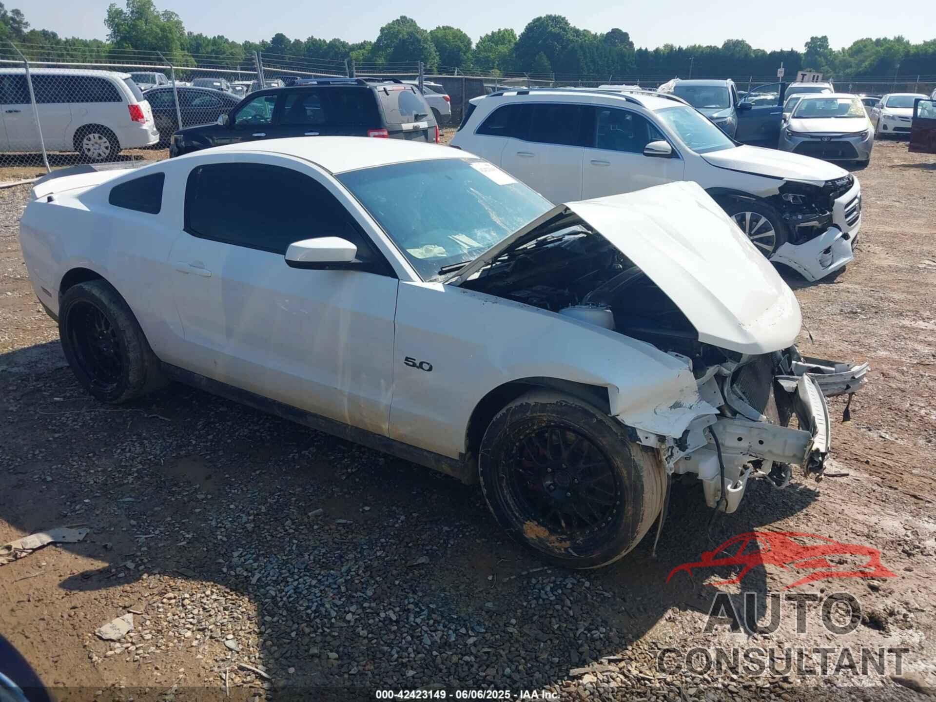 FORD MUSTANG 2011 - 1ZVBP8CF8B5139492
