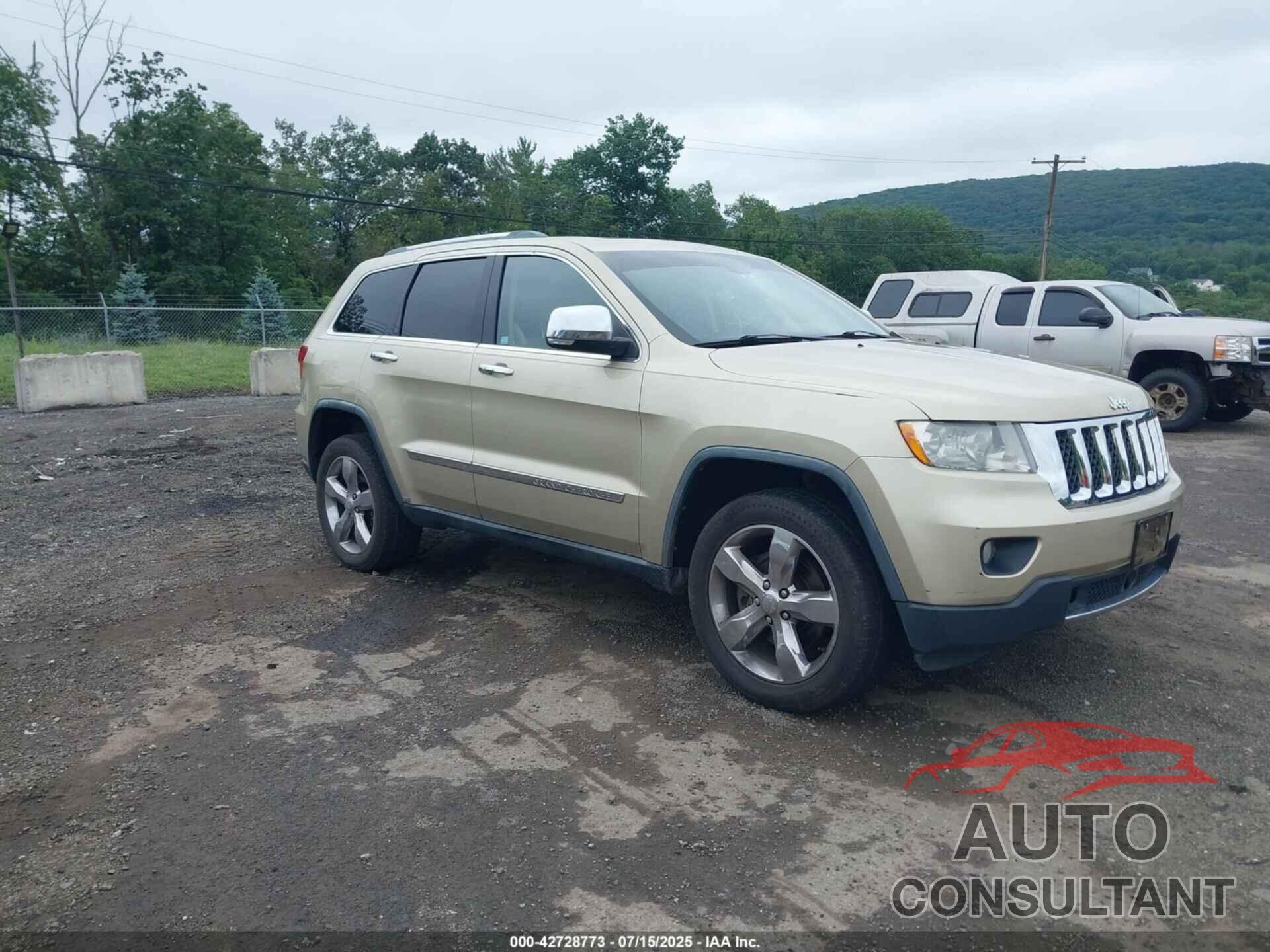 JEEP GRAND CHEROKEE 2011 - 1J4RR6GT1BC586526