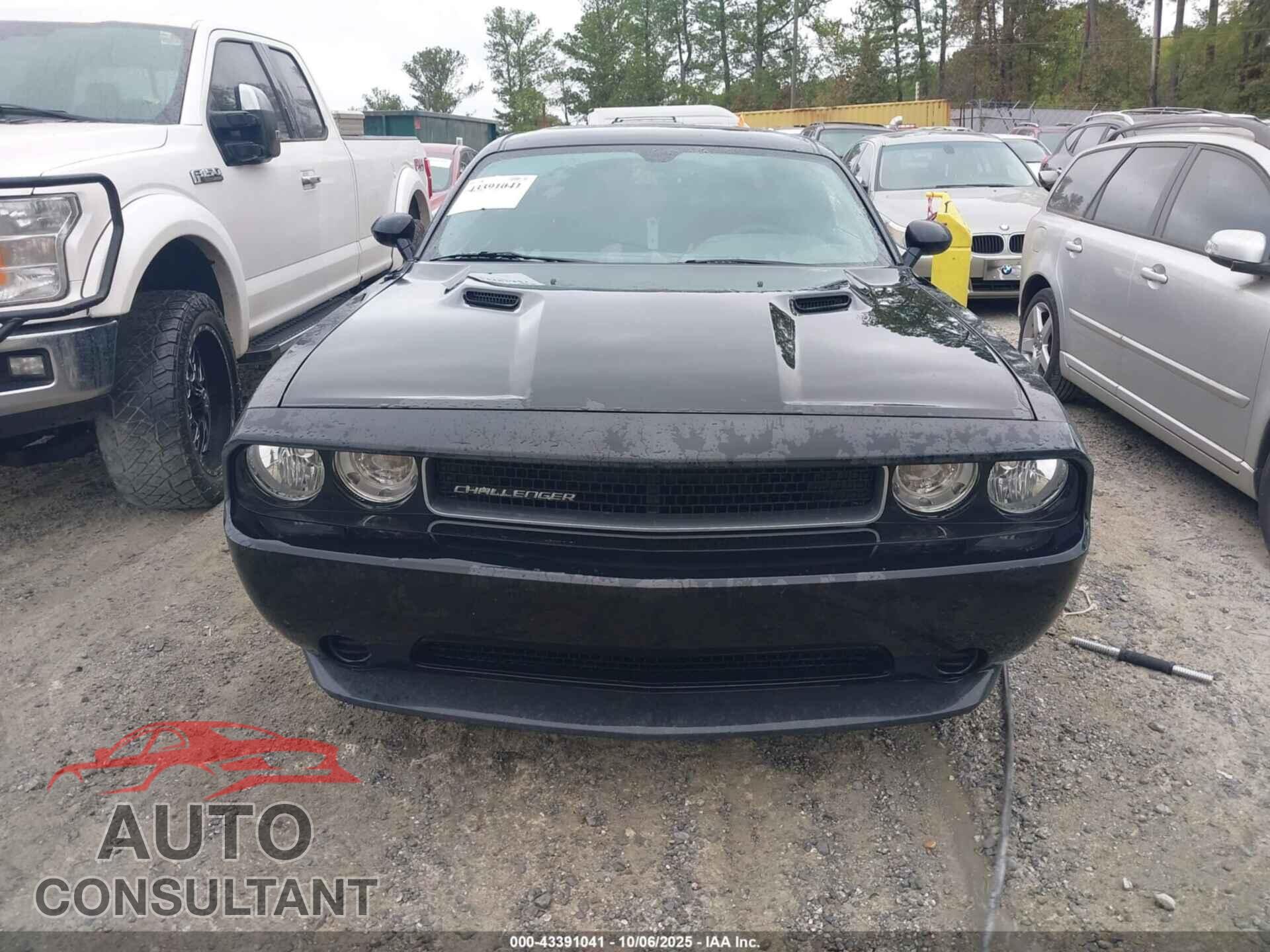 DODGE CHALLENGER 2014 - 2C3CDYAG0EH285933