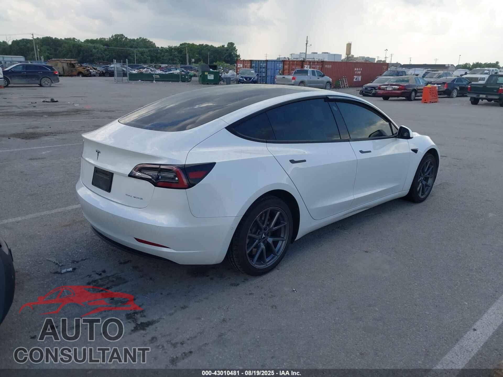 TESLA MODEL 3 2021 - 5YJ3E1EB3MF038019
