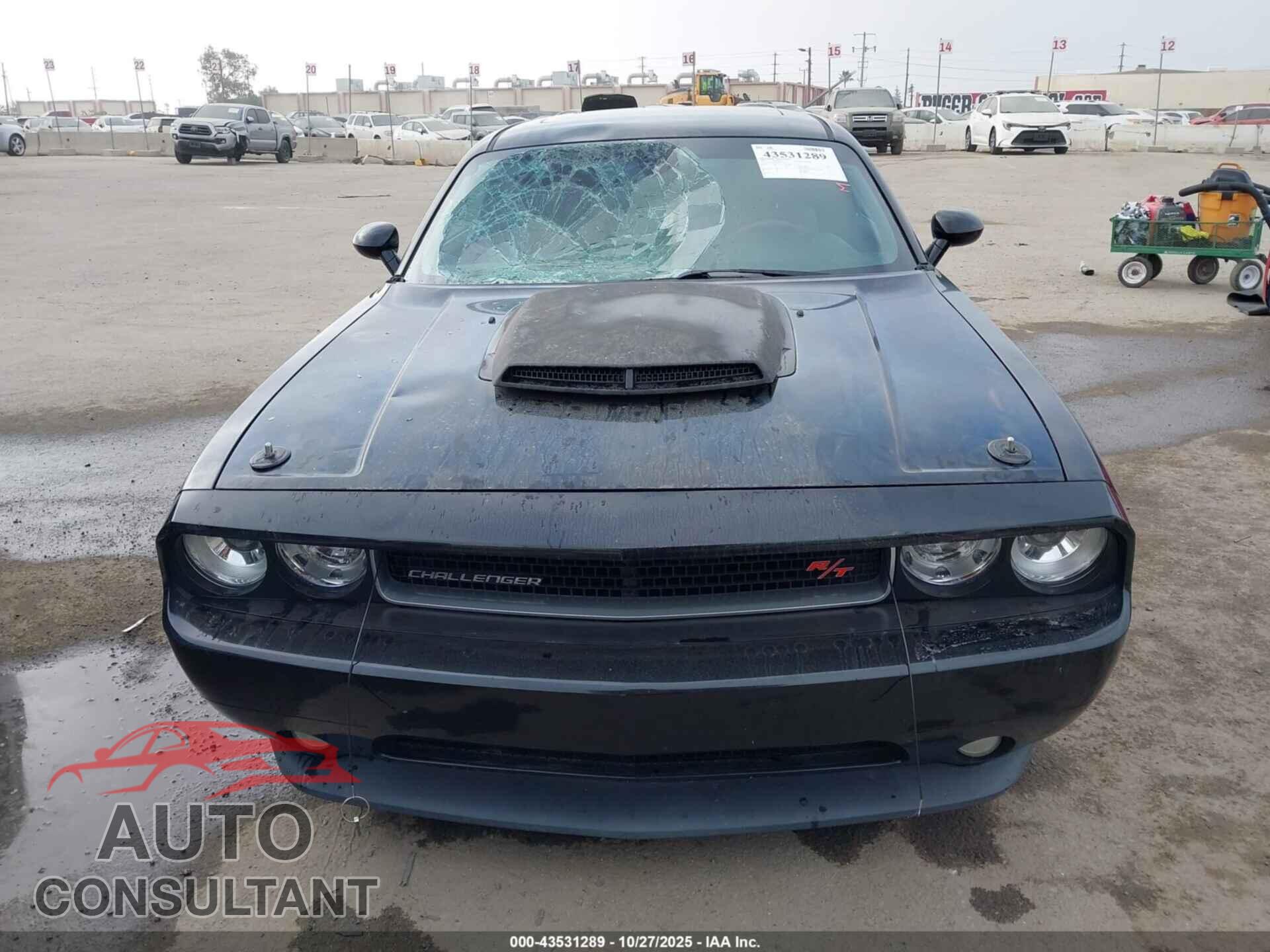 DODGE CHALLENGER 2013 - 2C3CDYBTXDH612638