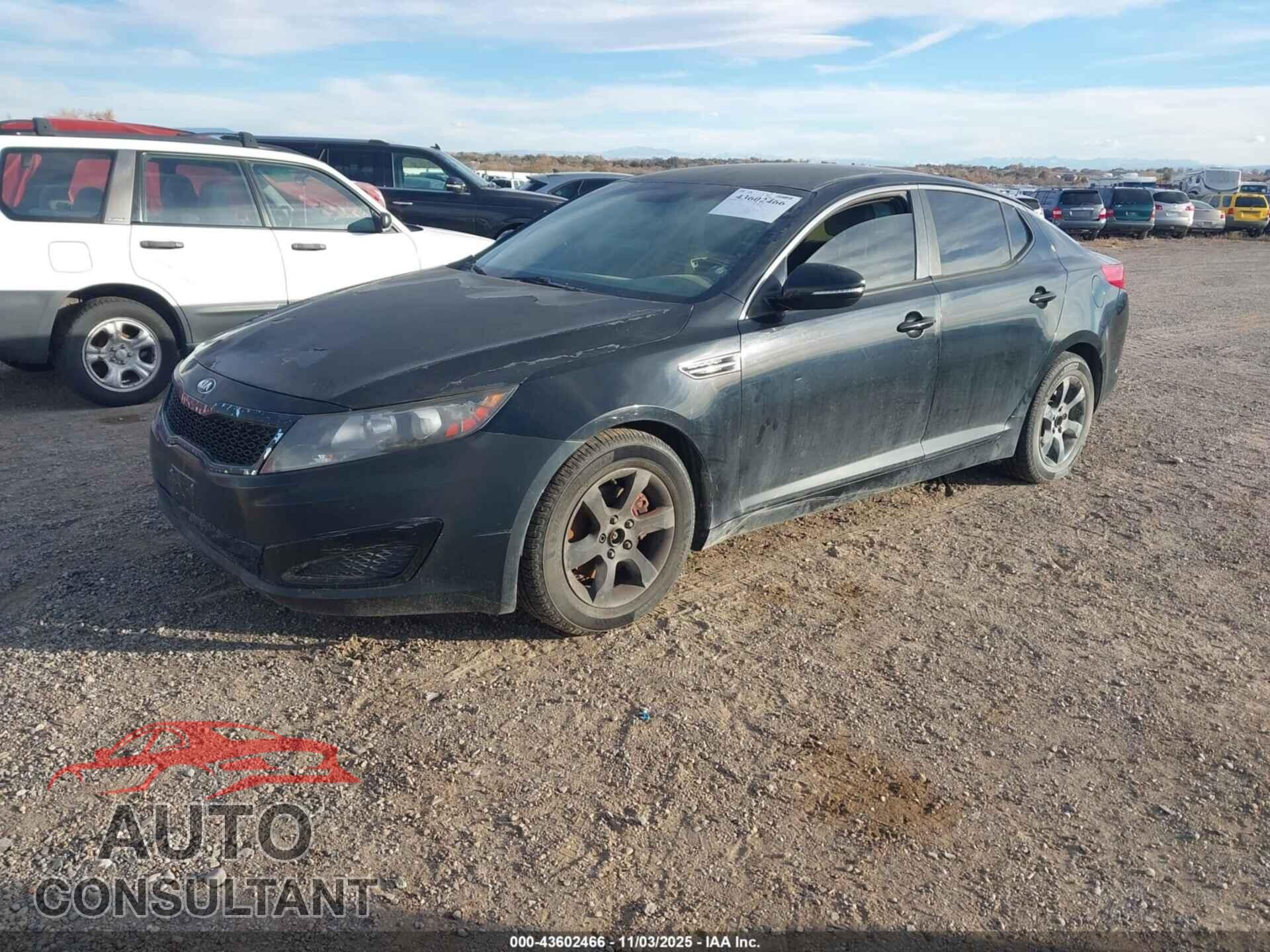 KIA OPTIMA 2011 - KNAGM4A76B5099061