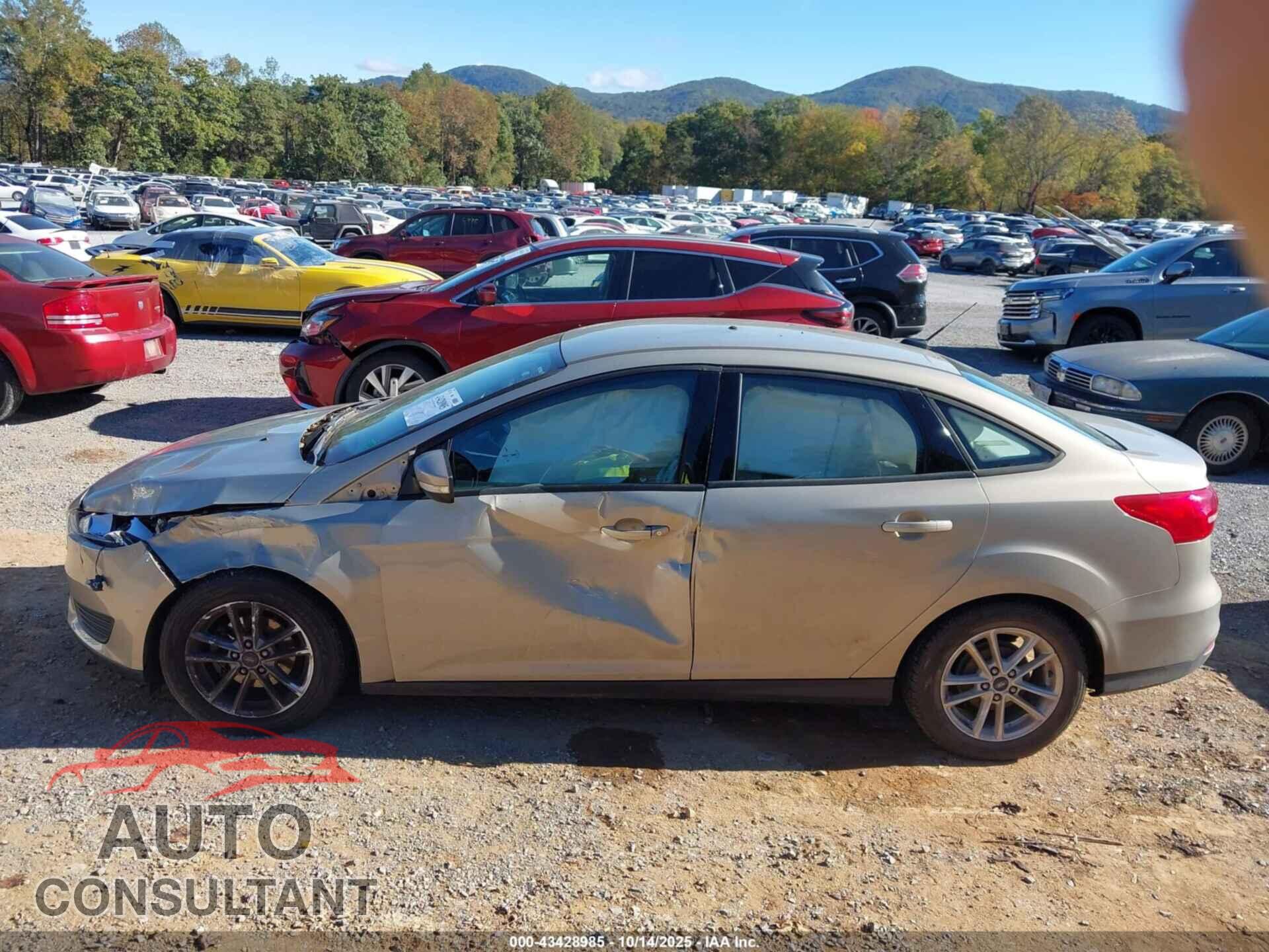 FORD FOCUS 2016 - 1FADP3F21GL296443