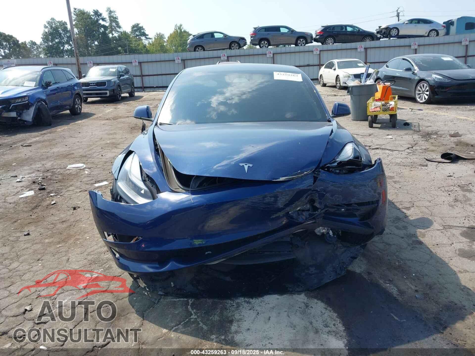 TESLA MODEL 3 2021 - 5YJ3E1EA1MF086111