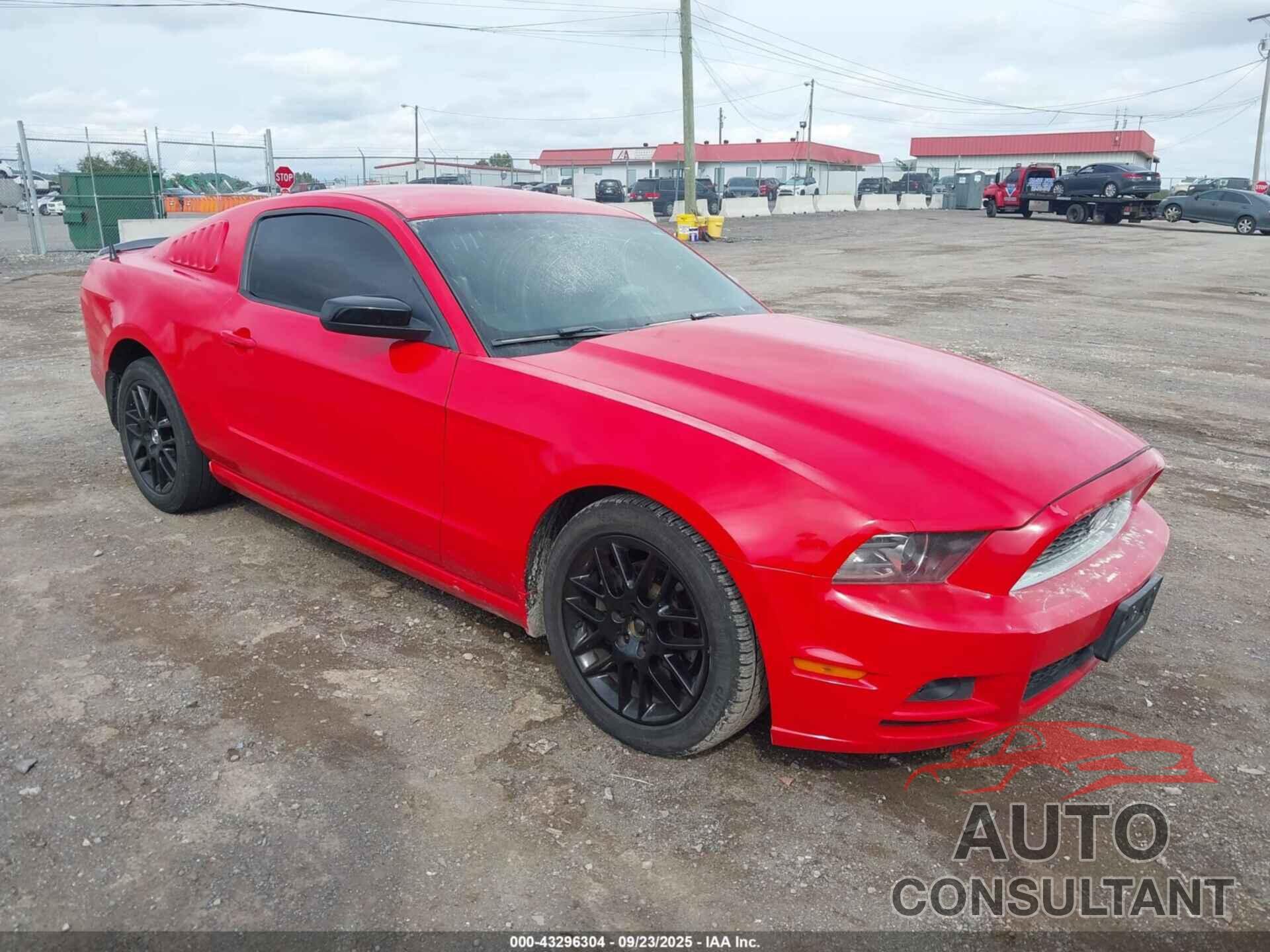 FORD MUSTANG 2014 - 1ZVBP8AM7E5288210