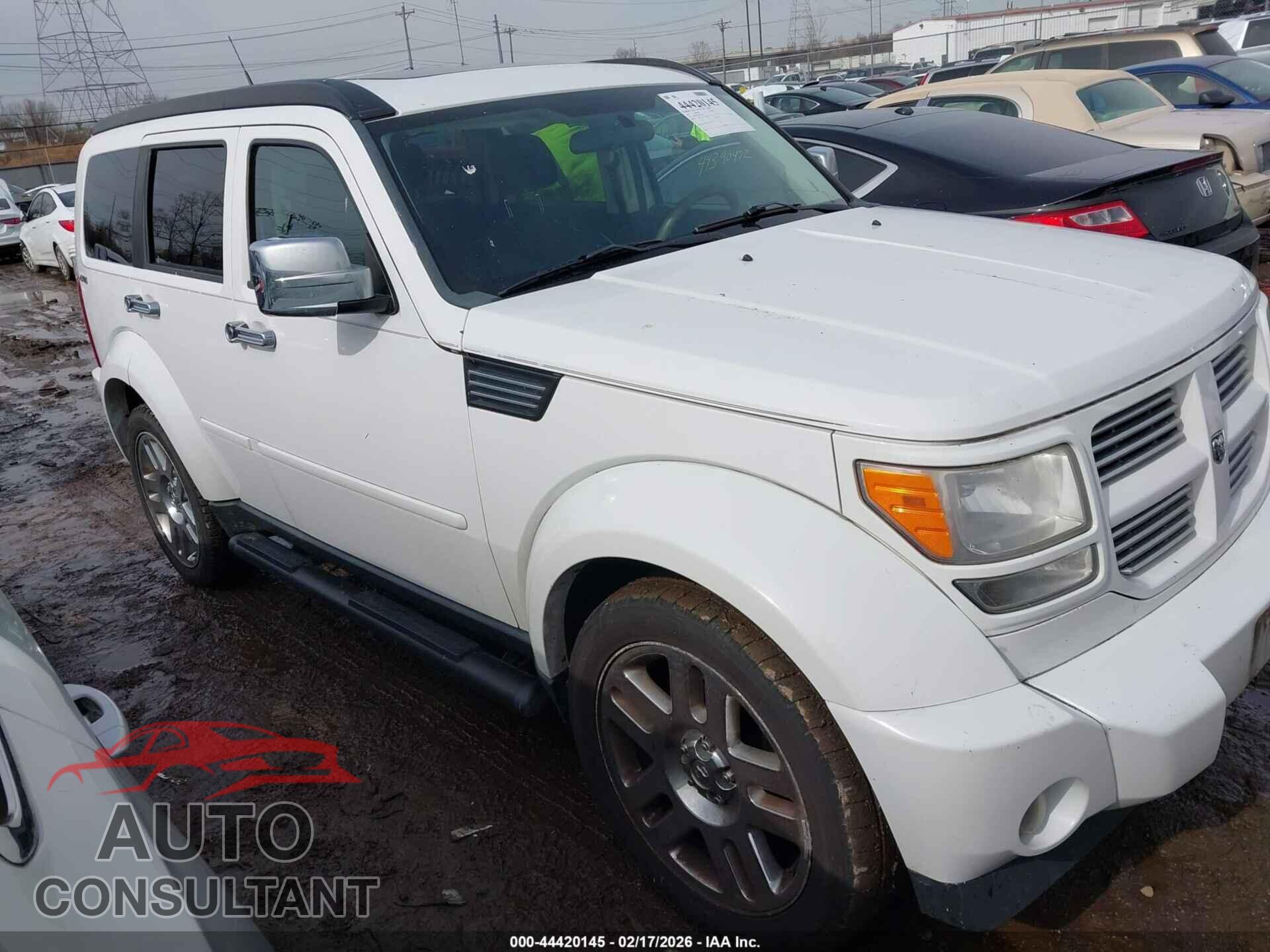 DODGE NITRO 2011 - 1D4PU4GK3BW522867