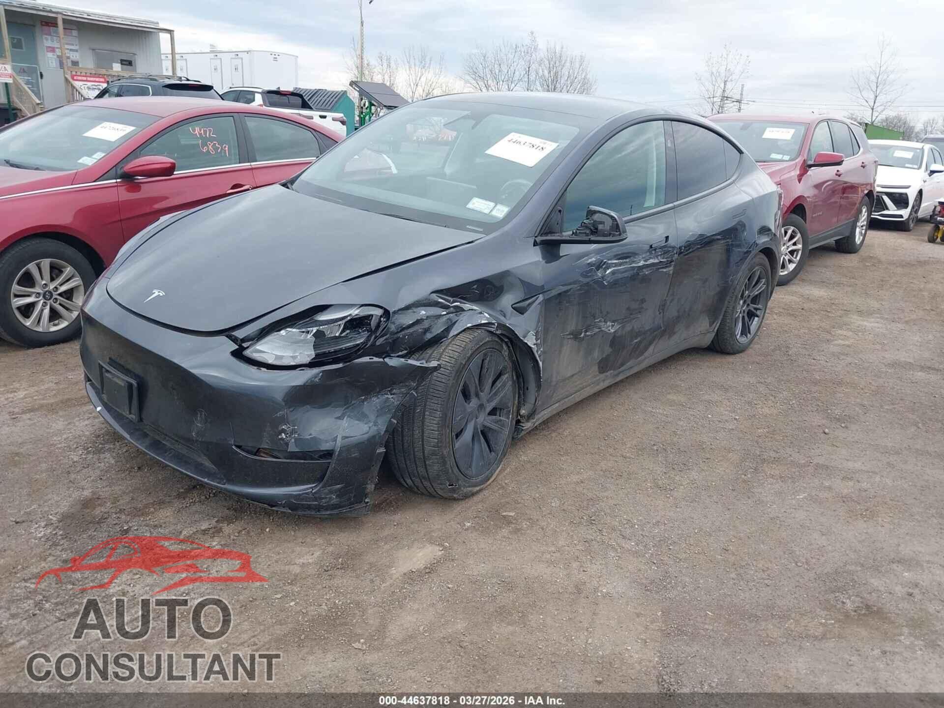 TESLA MODEL Y 2024 - 7SAYGDED5RF194205