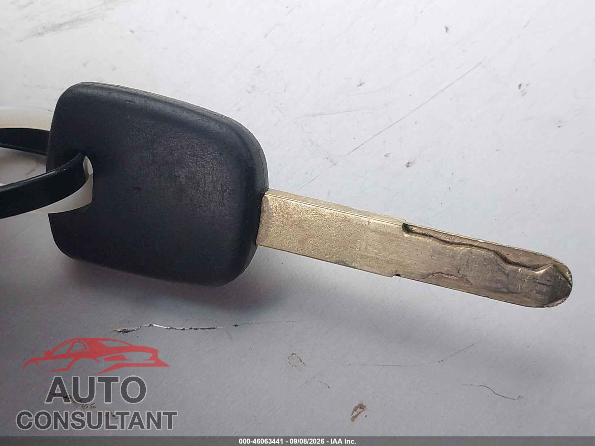 HONDA CIVIC 2010 - 19XFA1F64AE013447