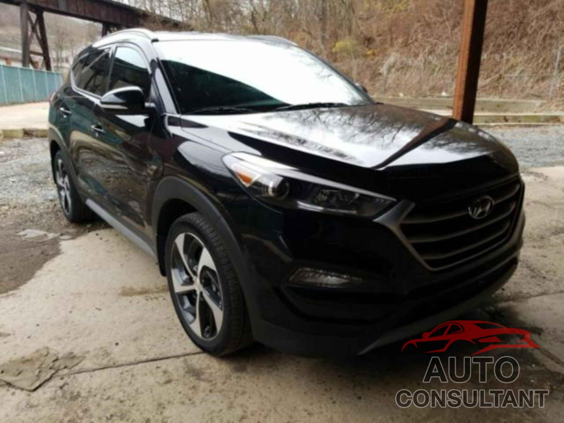 HYUNDAI TUCSON 2017 - KM8J3CA29HU502602