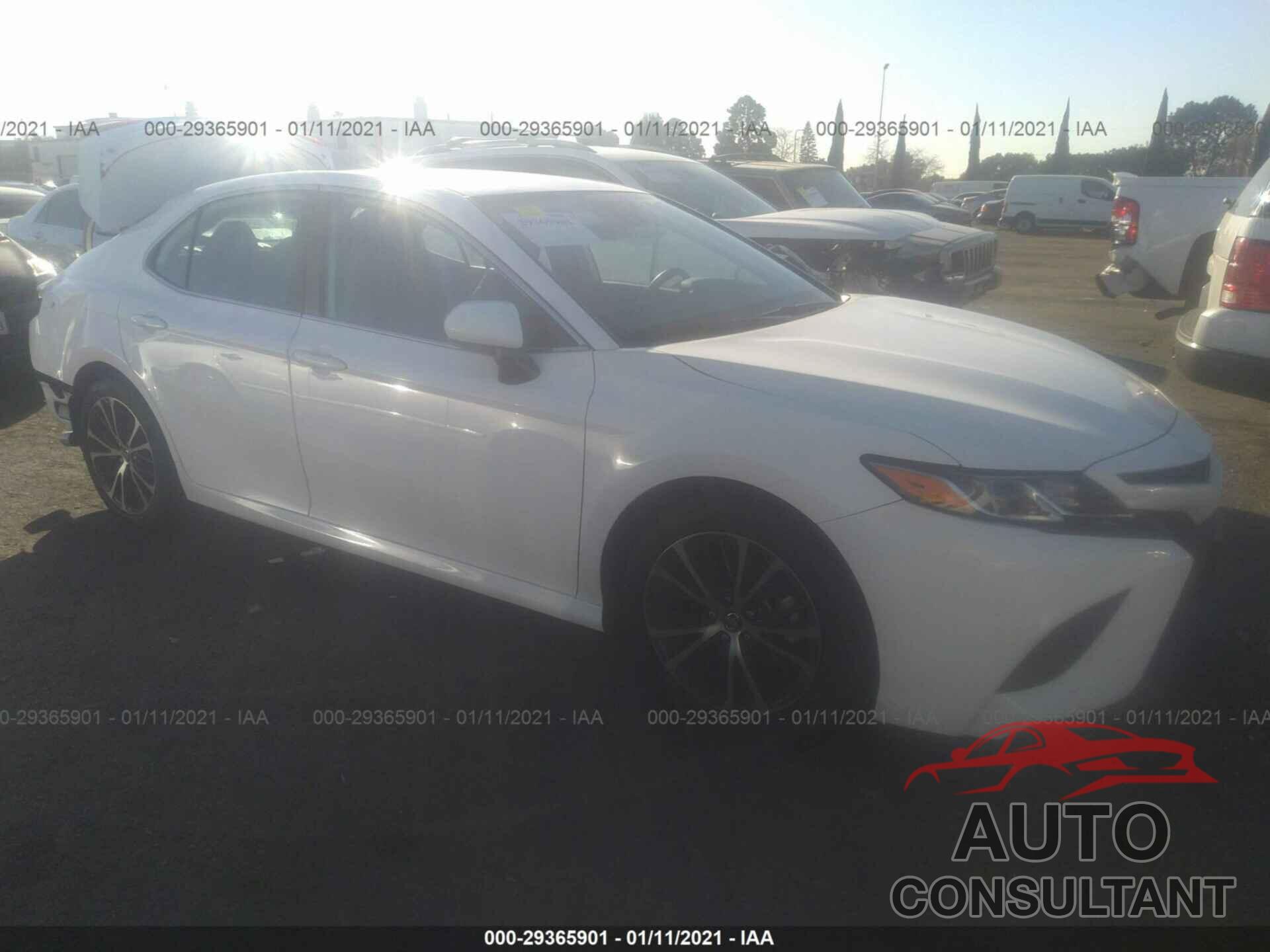 TOYOTA CAMRY 2019 - 4T1B11HK5KU715509
