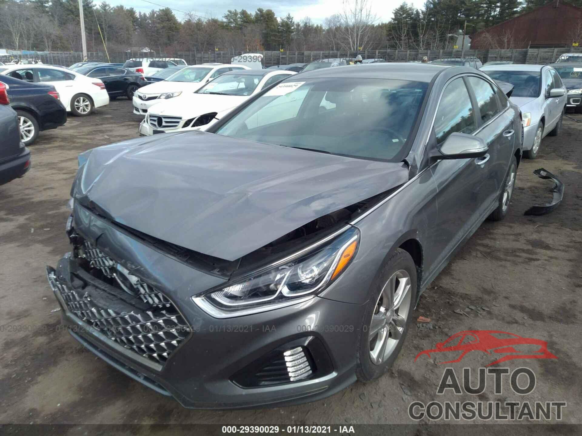 HYUNDAI SONATA 2019 - 5NPE34AFXKH811740