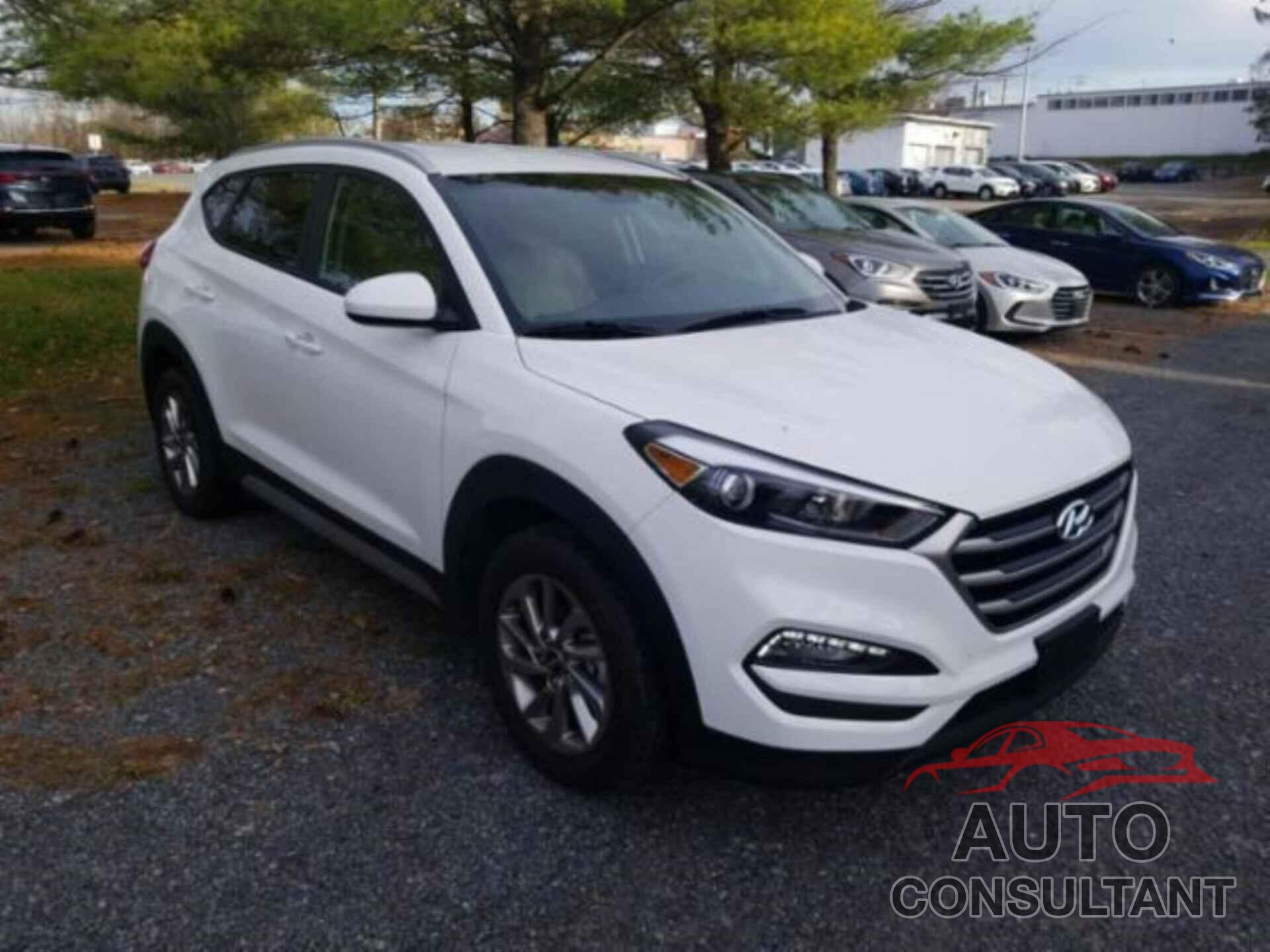 HYUNDAI TUCSON 2017 - KM8J3CA42HU446486