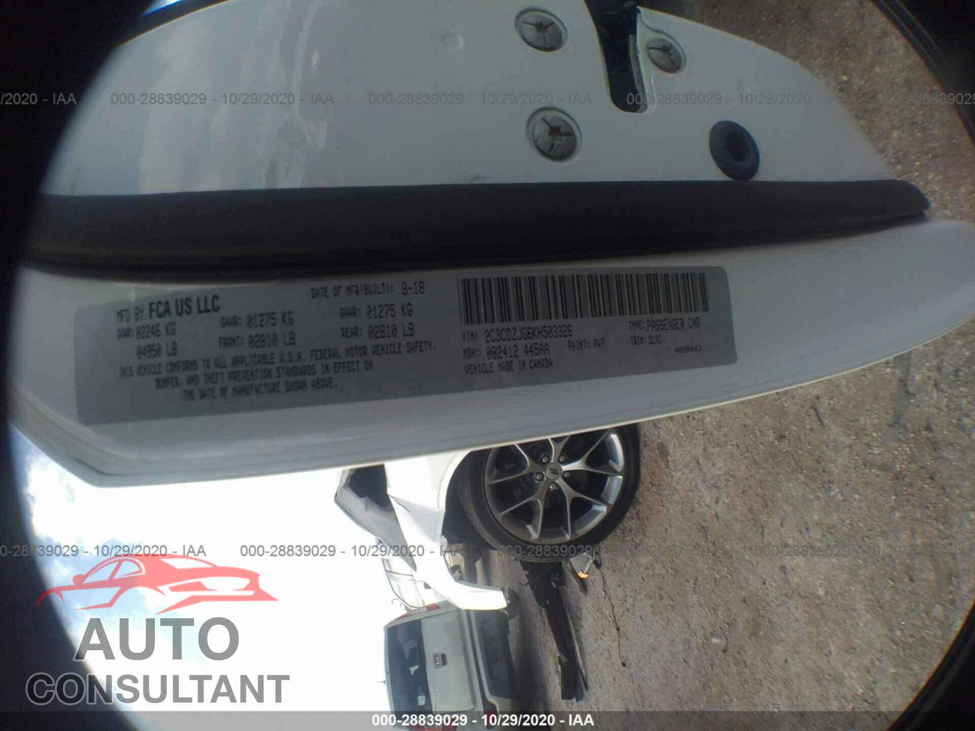 DODGE CHALLENGER 2019 - 2C3CDZJG6KH503326