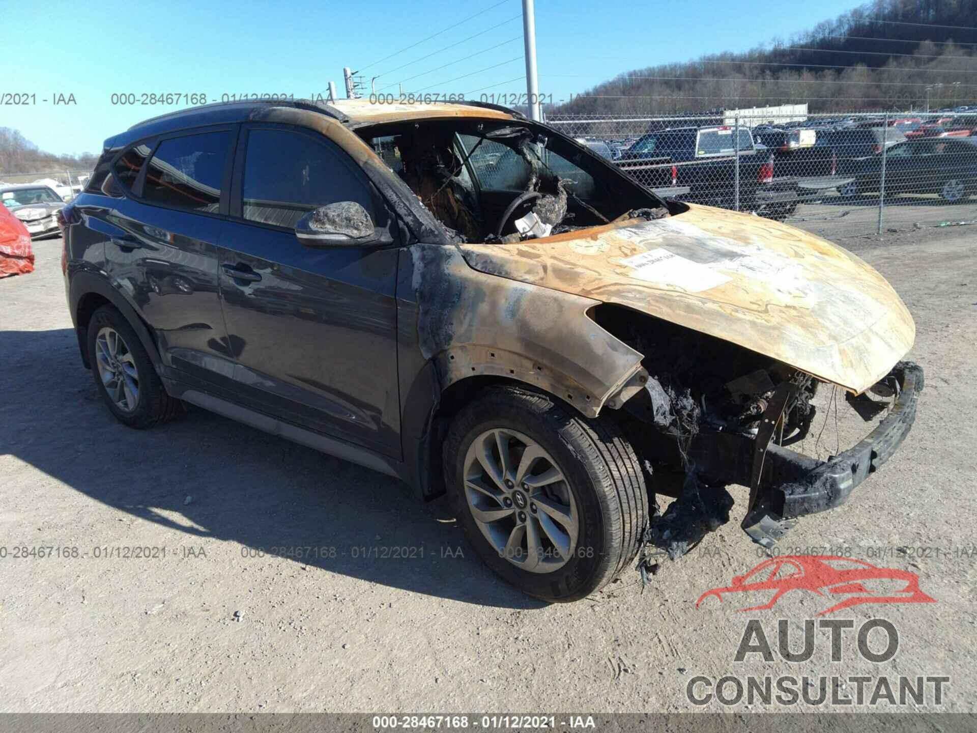 HYUNDAI TUCSON 2017 - KM8J3CA46HU431246