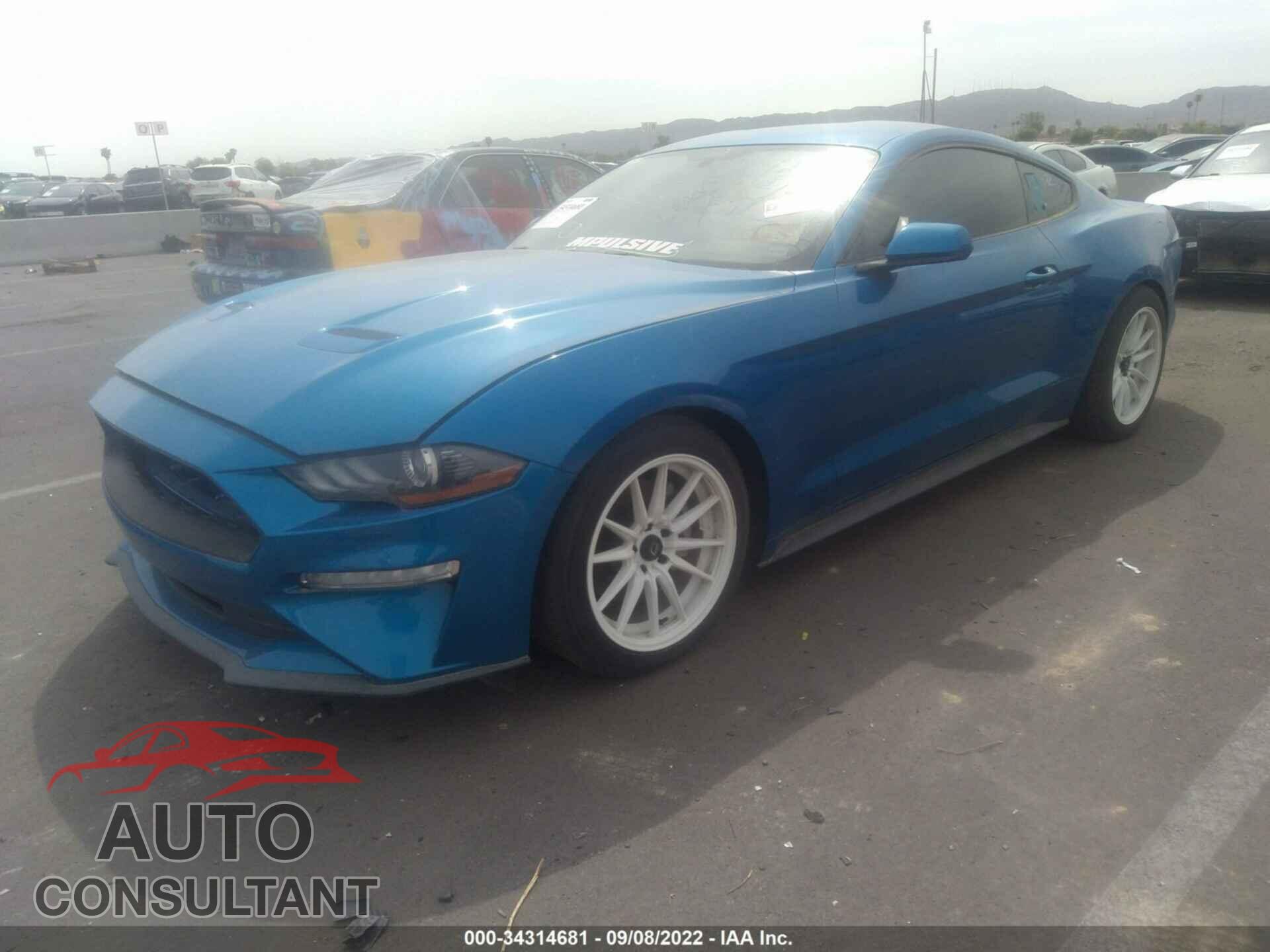 FORD MUSTANG 2019 - 1FA6P8TH5K5175703