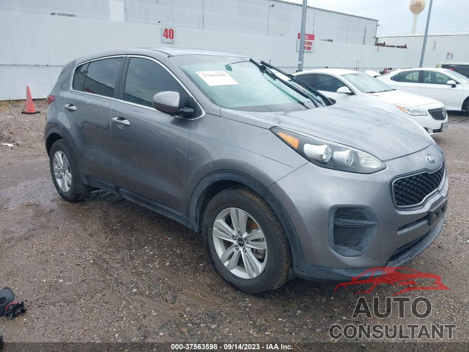 KIA SPORTAGE 2017 - KNDPM3AC7H7054427