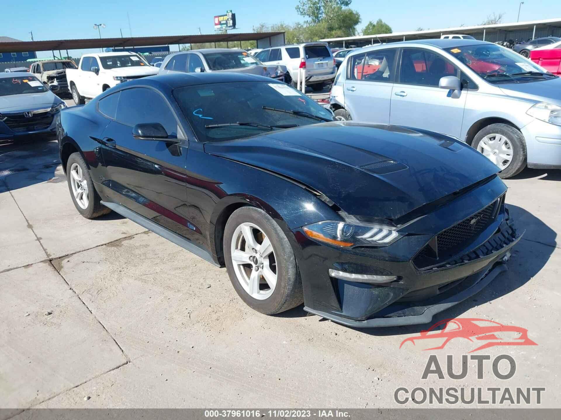 FORD MUSTANG 2019 - 1FA6P8TH3K5119033