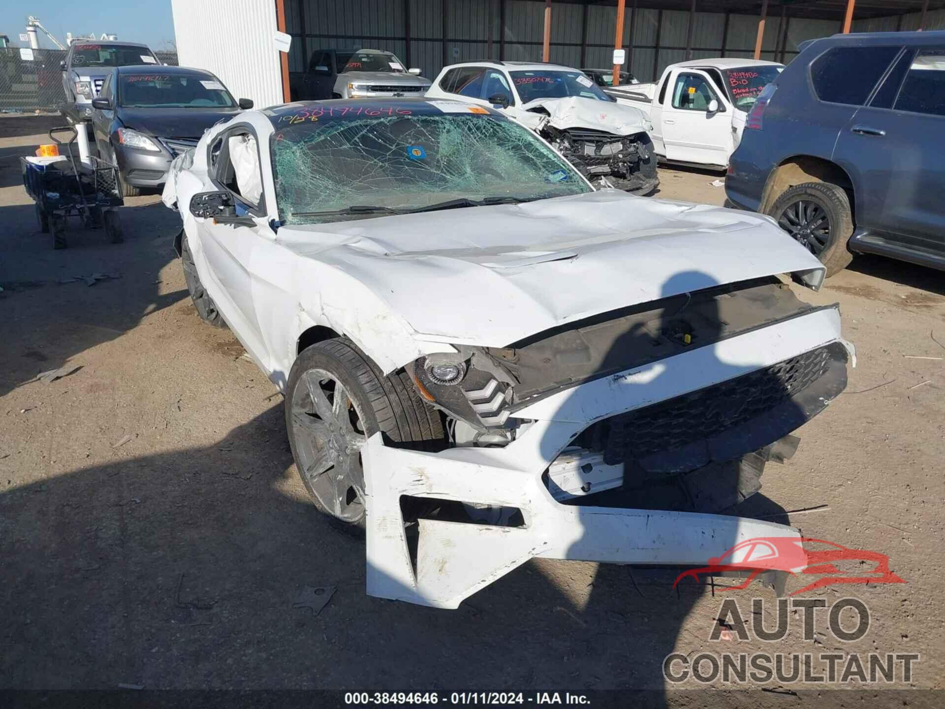 FORD MUSTANG 2019 - 1FA6P8TH1K5146943